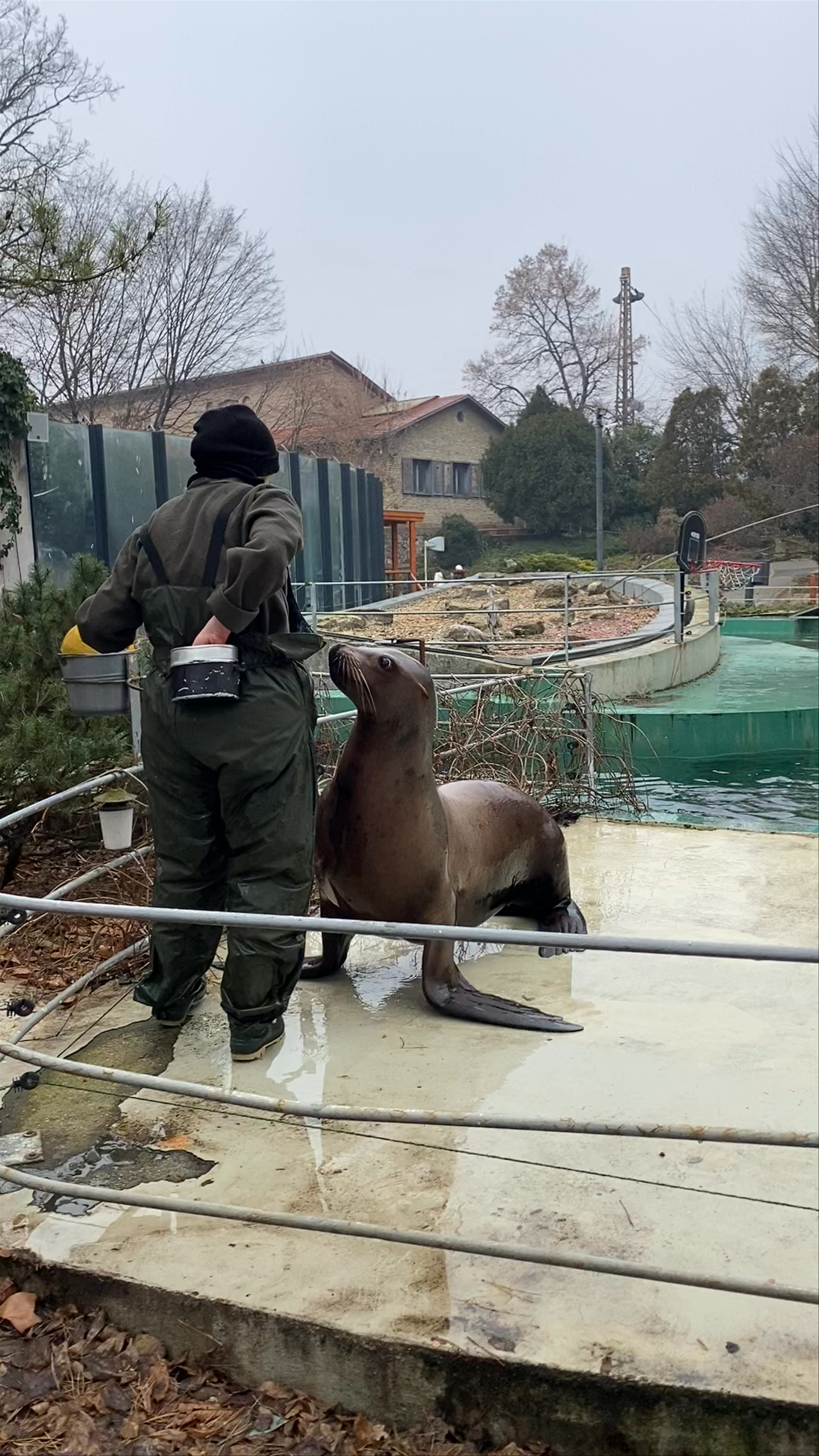 Budapest Zoo & Botanical Garden
