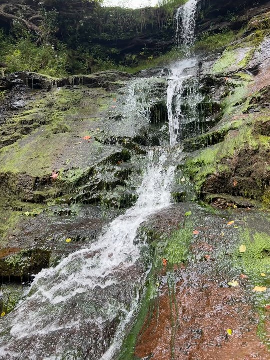 The Roxbury - Bed & Breakfast Near Me - Roxbury, New York