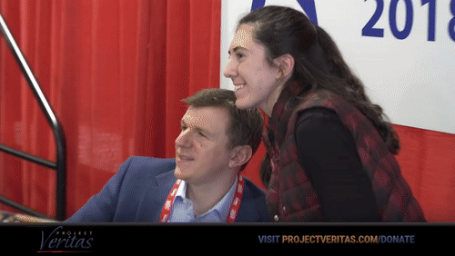 Video Thumbnail Loop