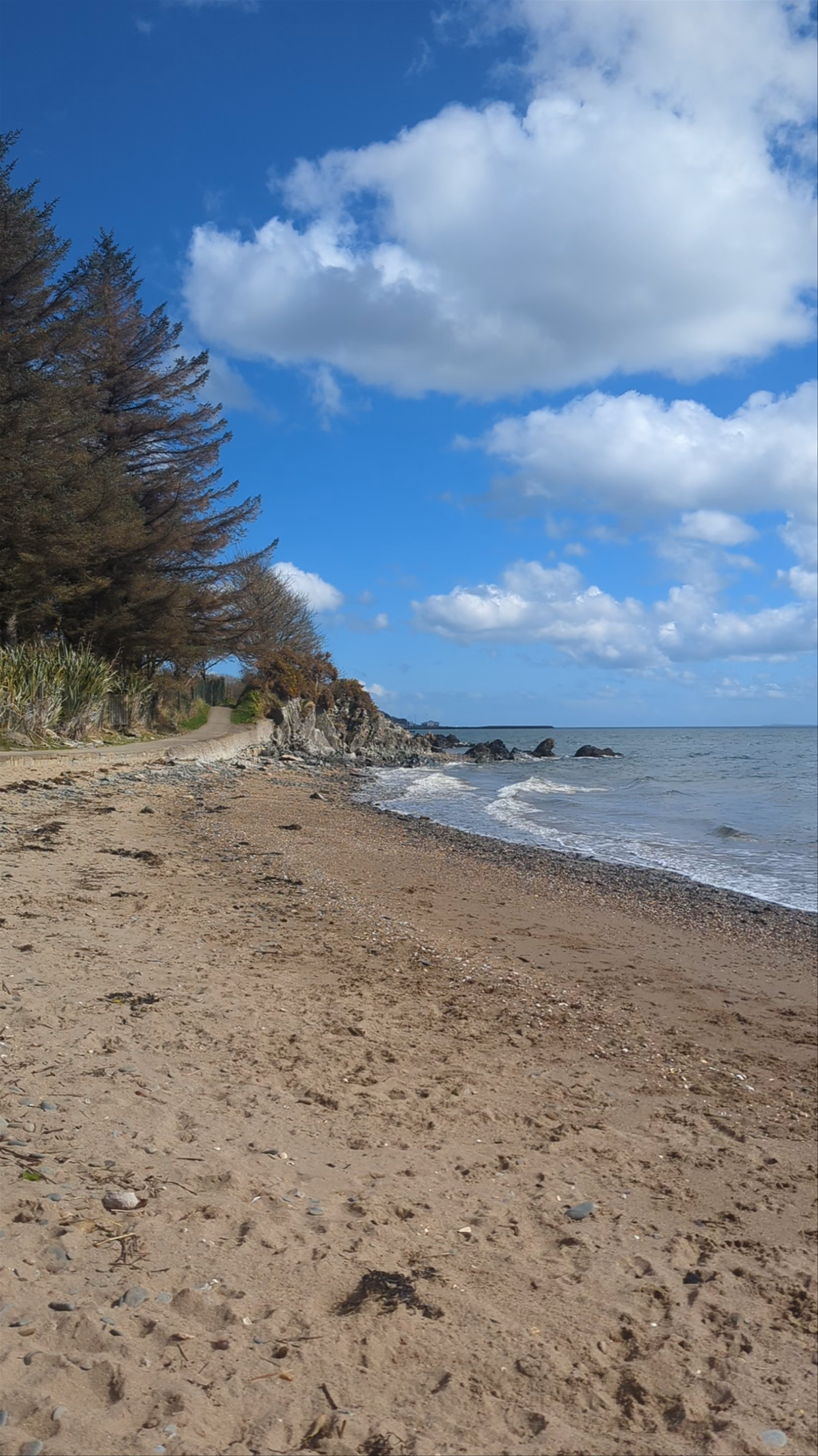 Ballybrack Beach Walk