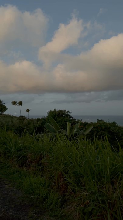 Richie's Restaurant - View from restaurant while we waited for Ubers - Seafood Near Me - Río Grande, Puerto Rico