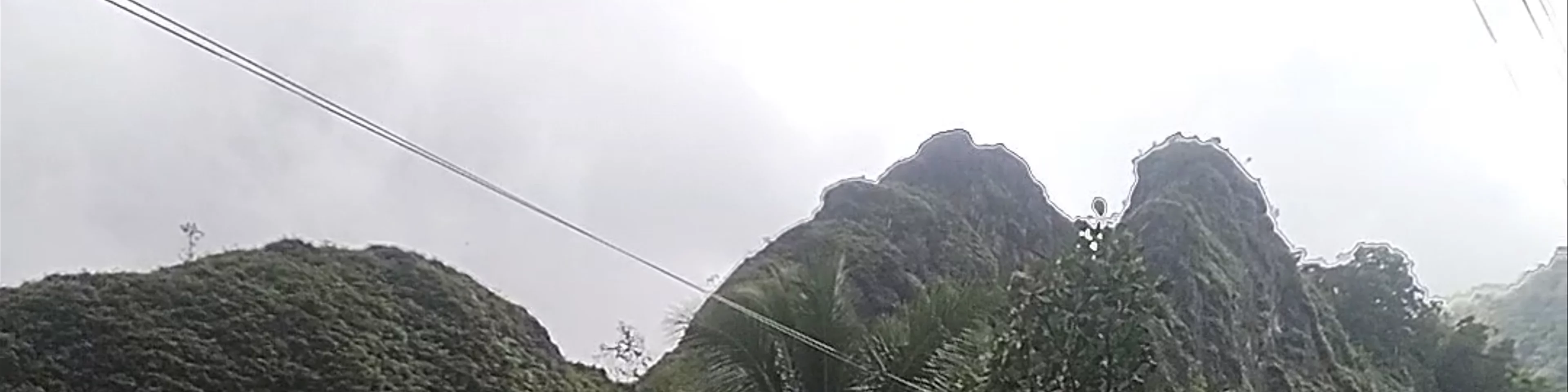 Dinosaur's Back
