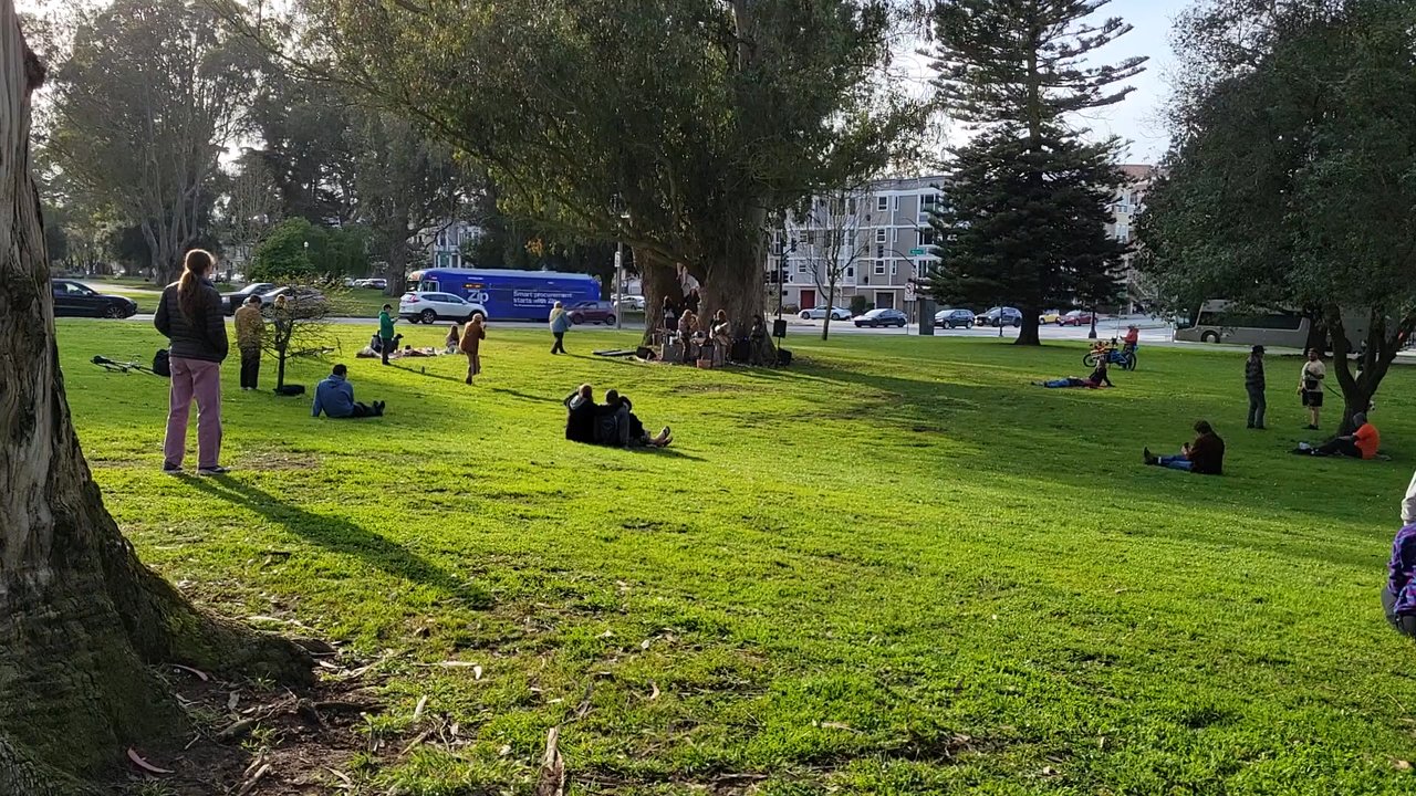 The Panhandle - Parks Near Me - San Francisco, California