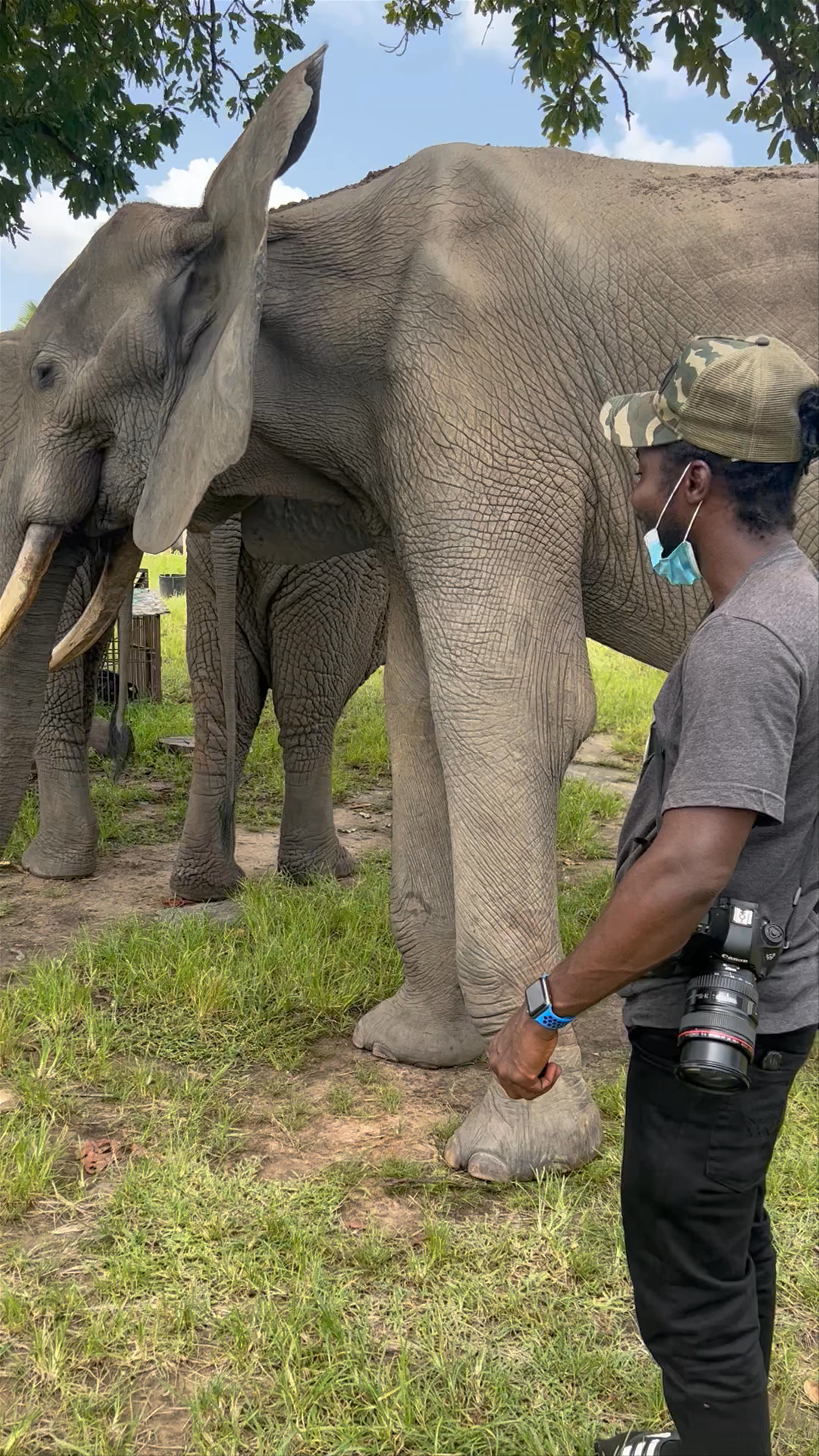 Djamdè Elephant Reserve