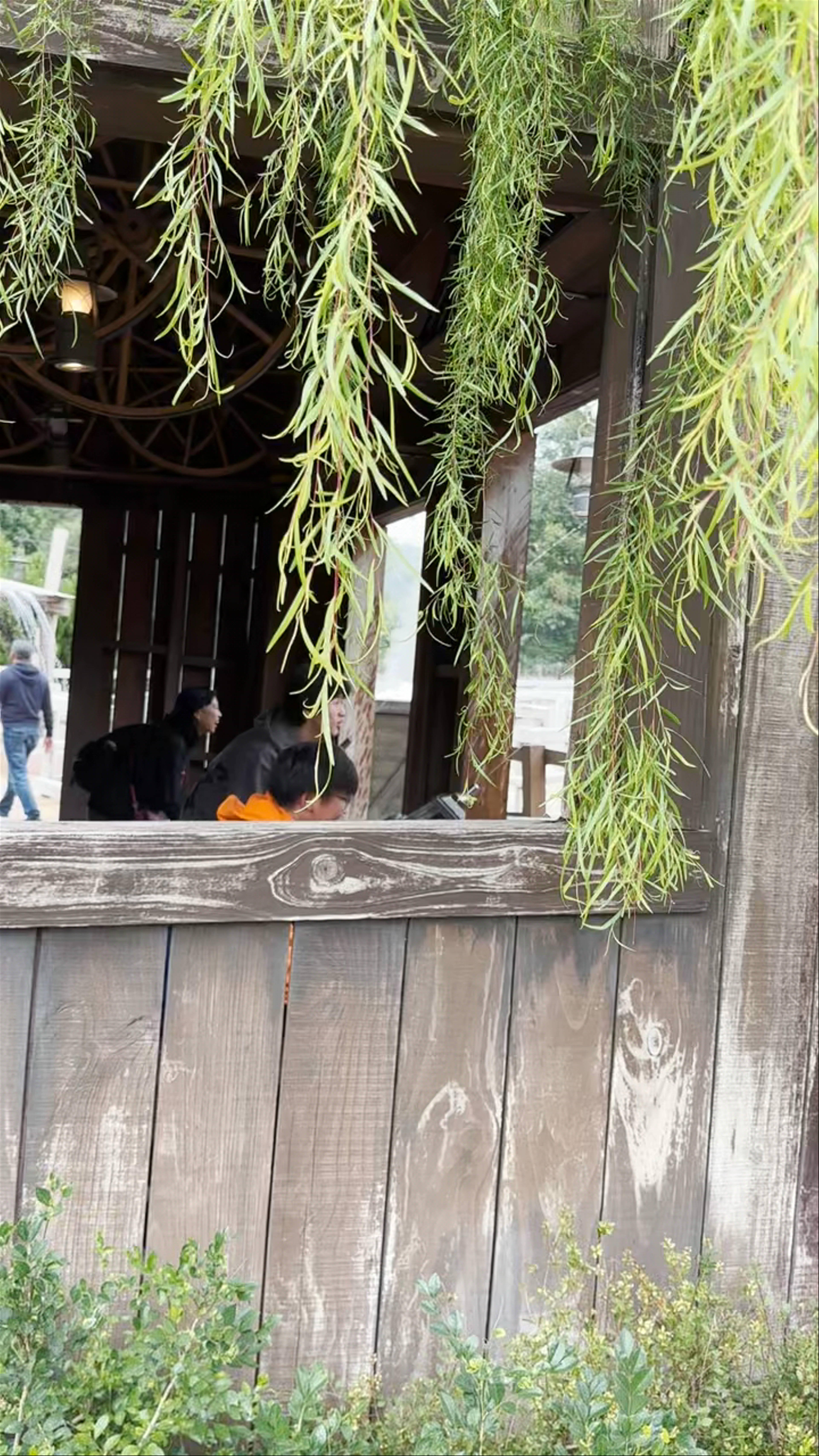 Hong Kong Disneyland