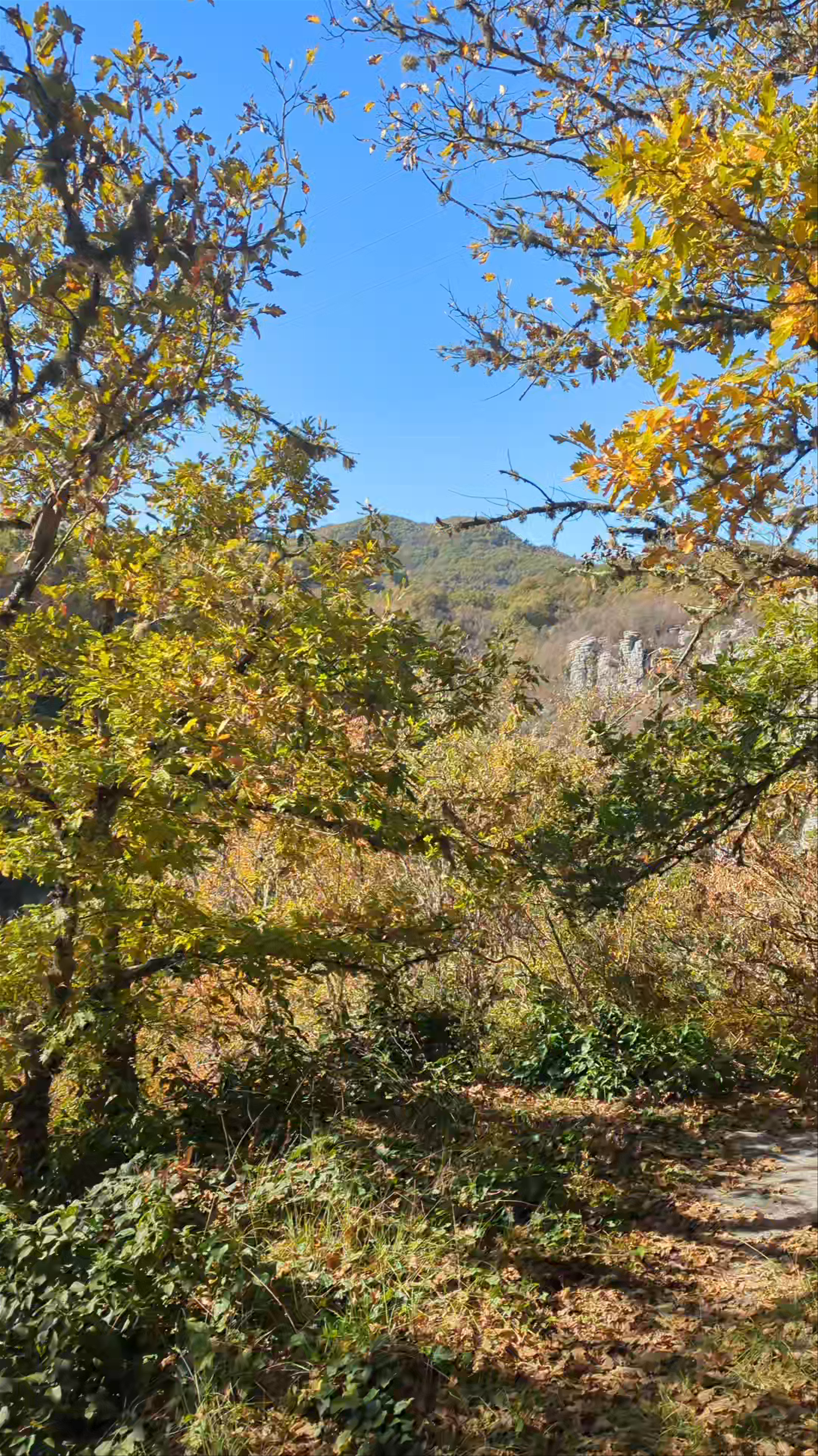 Autumn Serenity at Koukouli Village, Greece