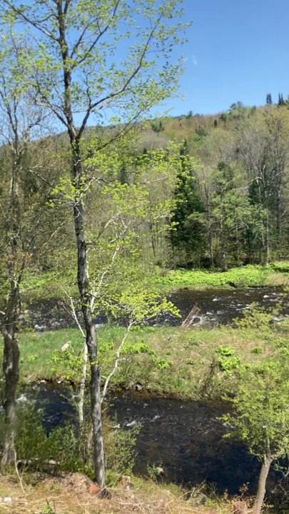 Mooselook Diner - The view - Diners Near Me - Concord, Vermont