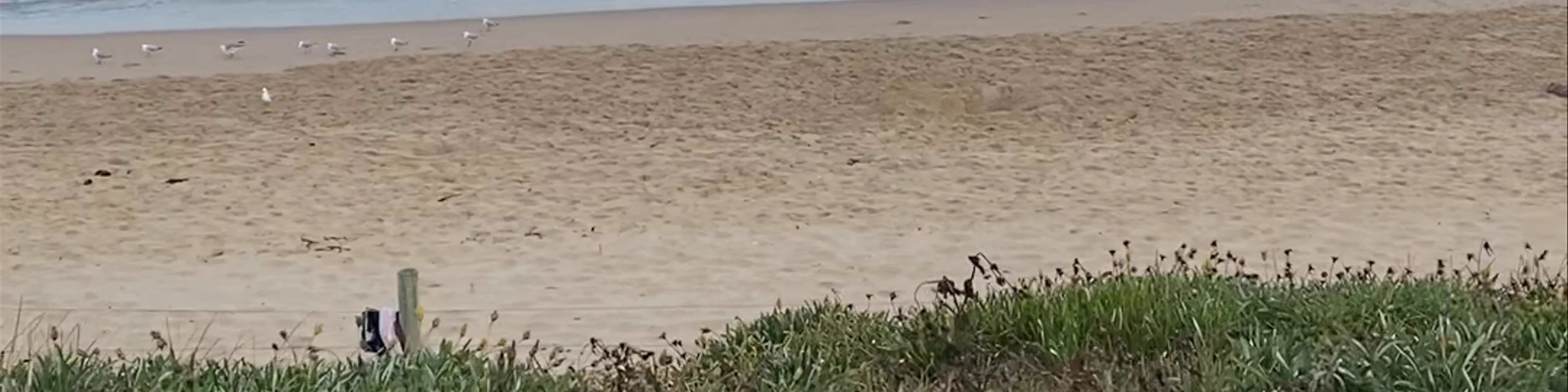 North Cronulla Beach
