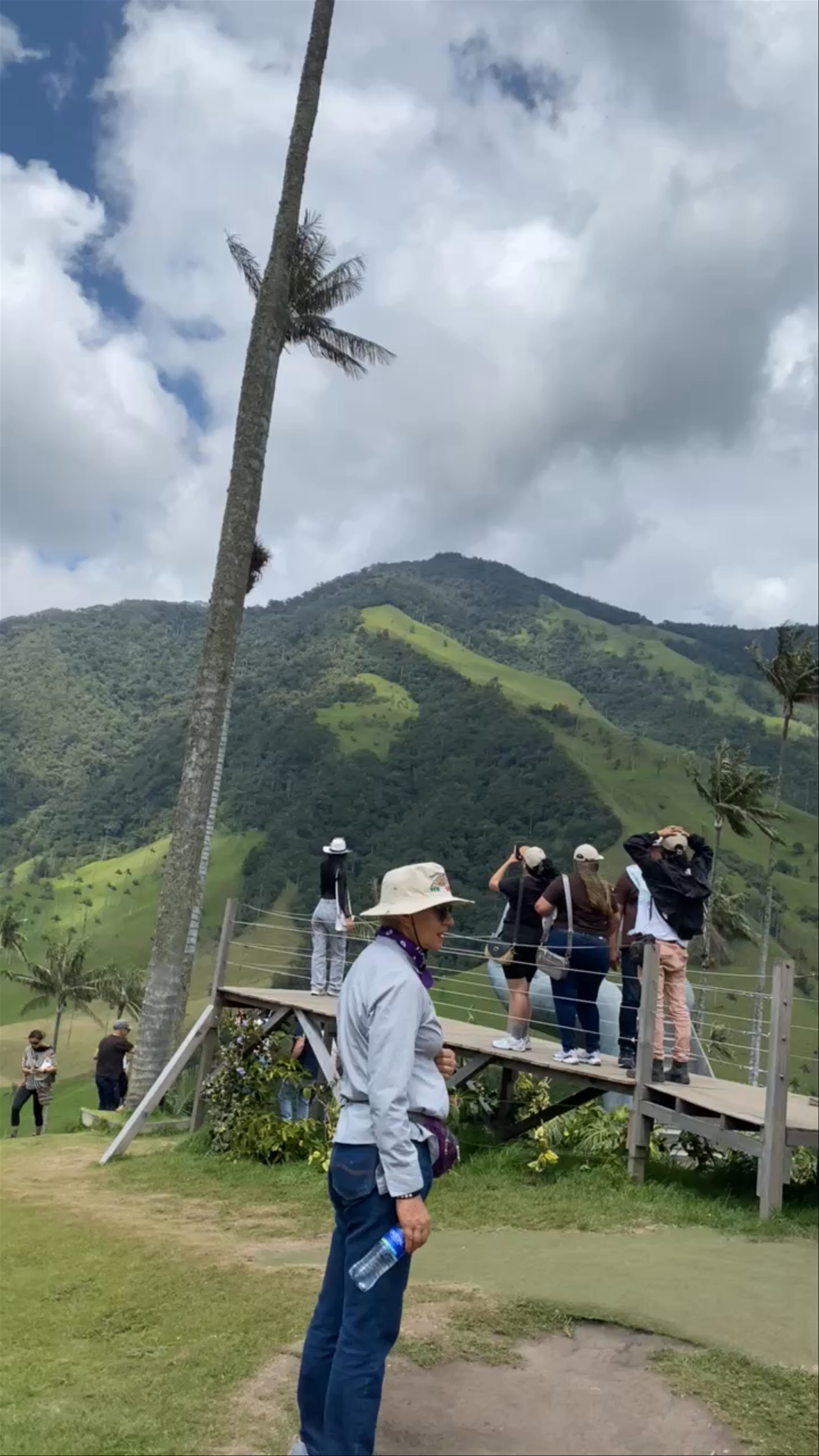 Valle del Cocora: Towering Palms and Lush Colombian Highlands