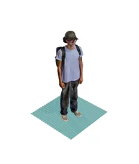 Froglet 3D scan