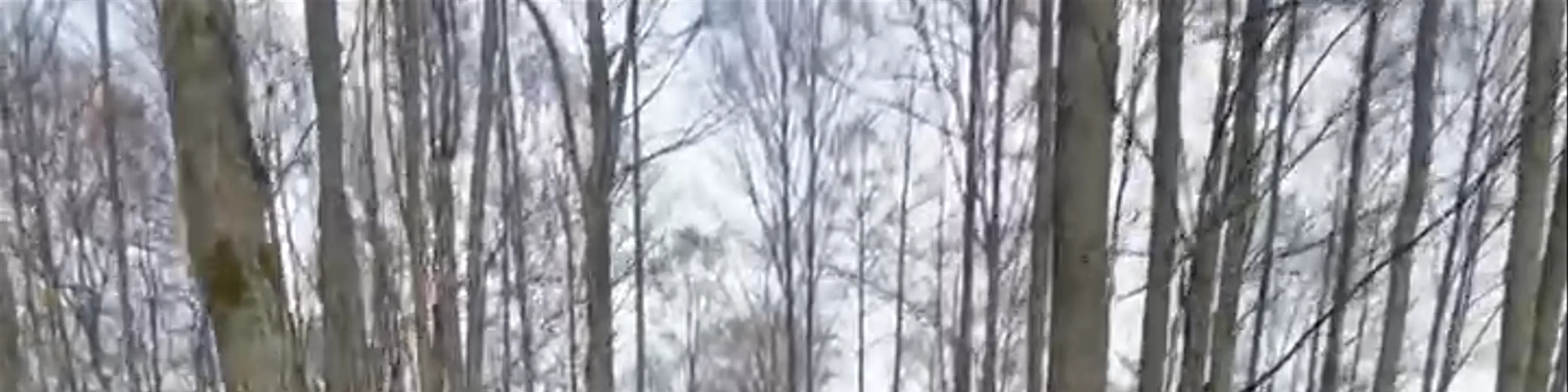 Slokas ezera dabas taka