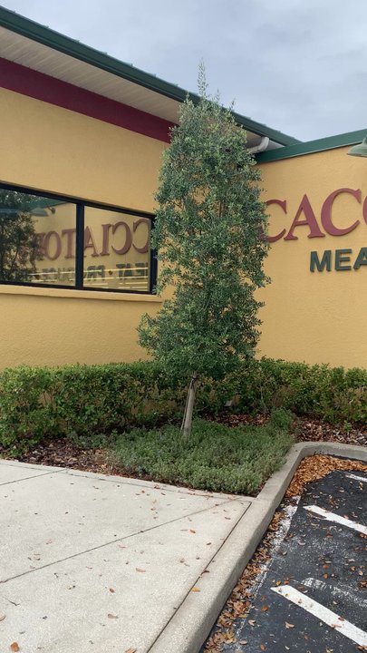 Cacciatore Bros - Grocery Near Me - Tampa, Florida