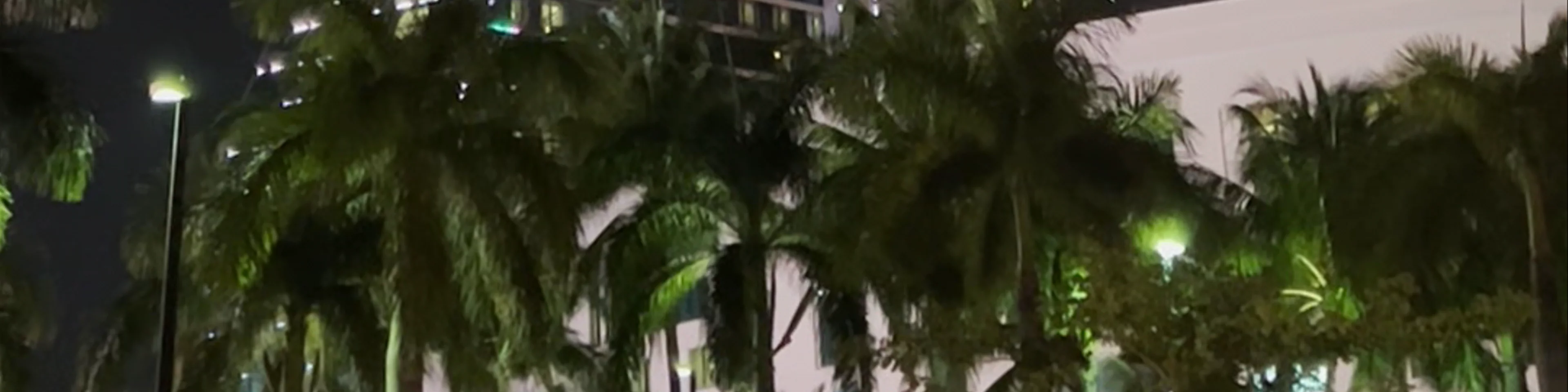 The Guitar Hotel (in Seminole Hard Rock Hollywood)