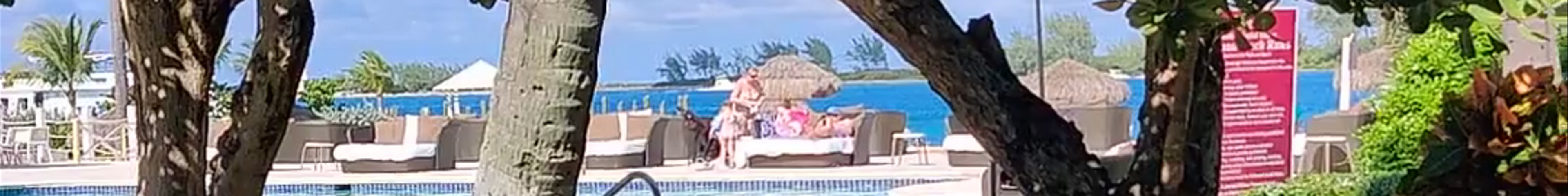 Tours & experiences in Bahamas