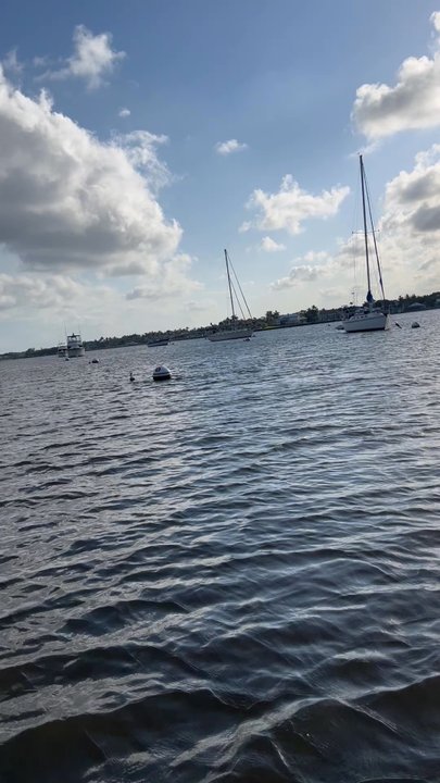 Treasure Coast Sailing Adventures - Boat Charters Near Me - Stuart, Florida