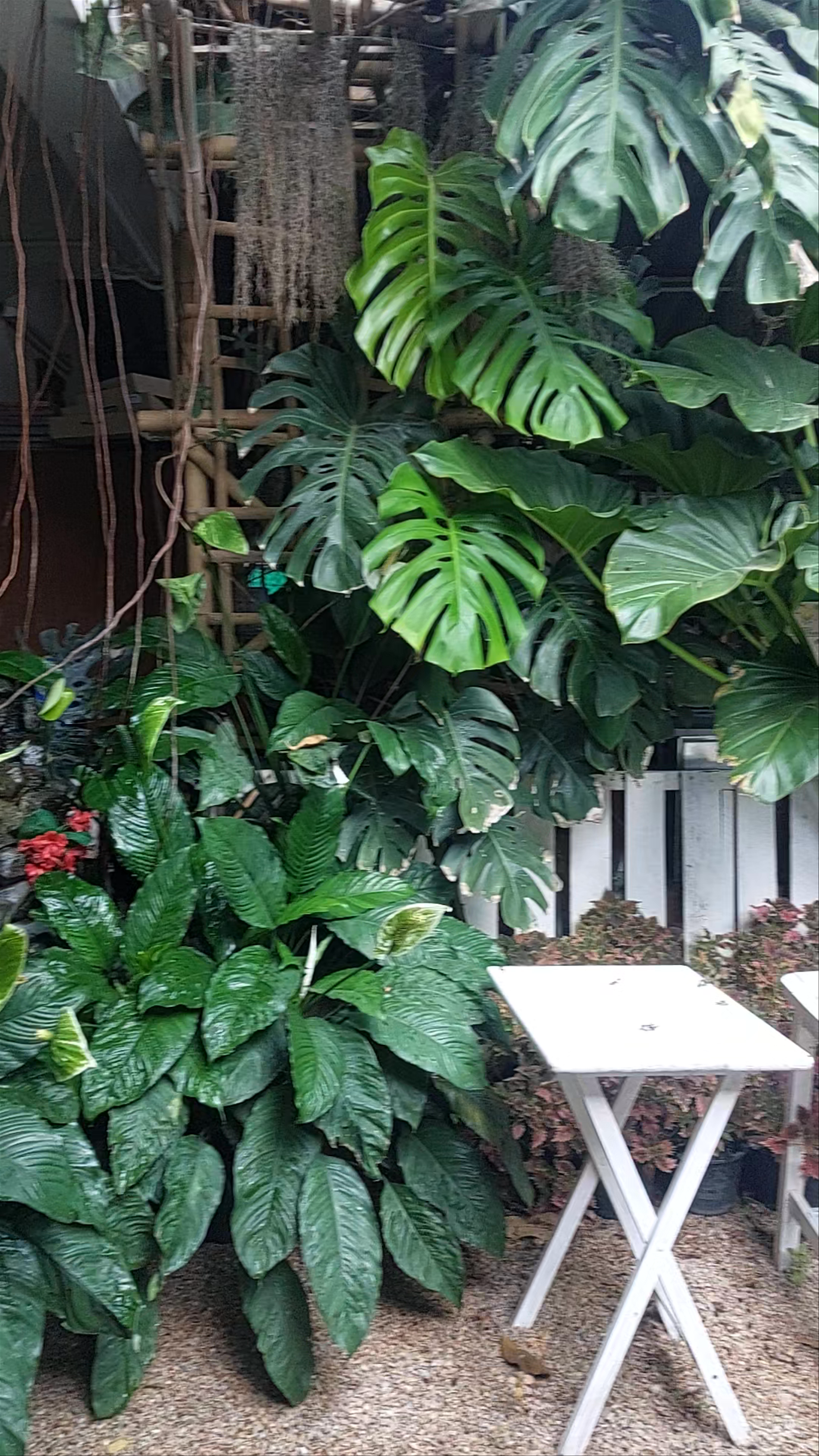 AK-KA-RA Coffee & Craft Night. หมู่10 Wichet Nakhon