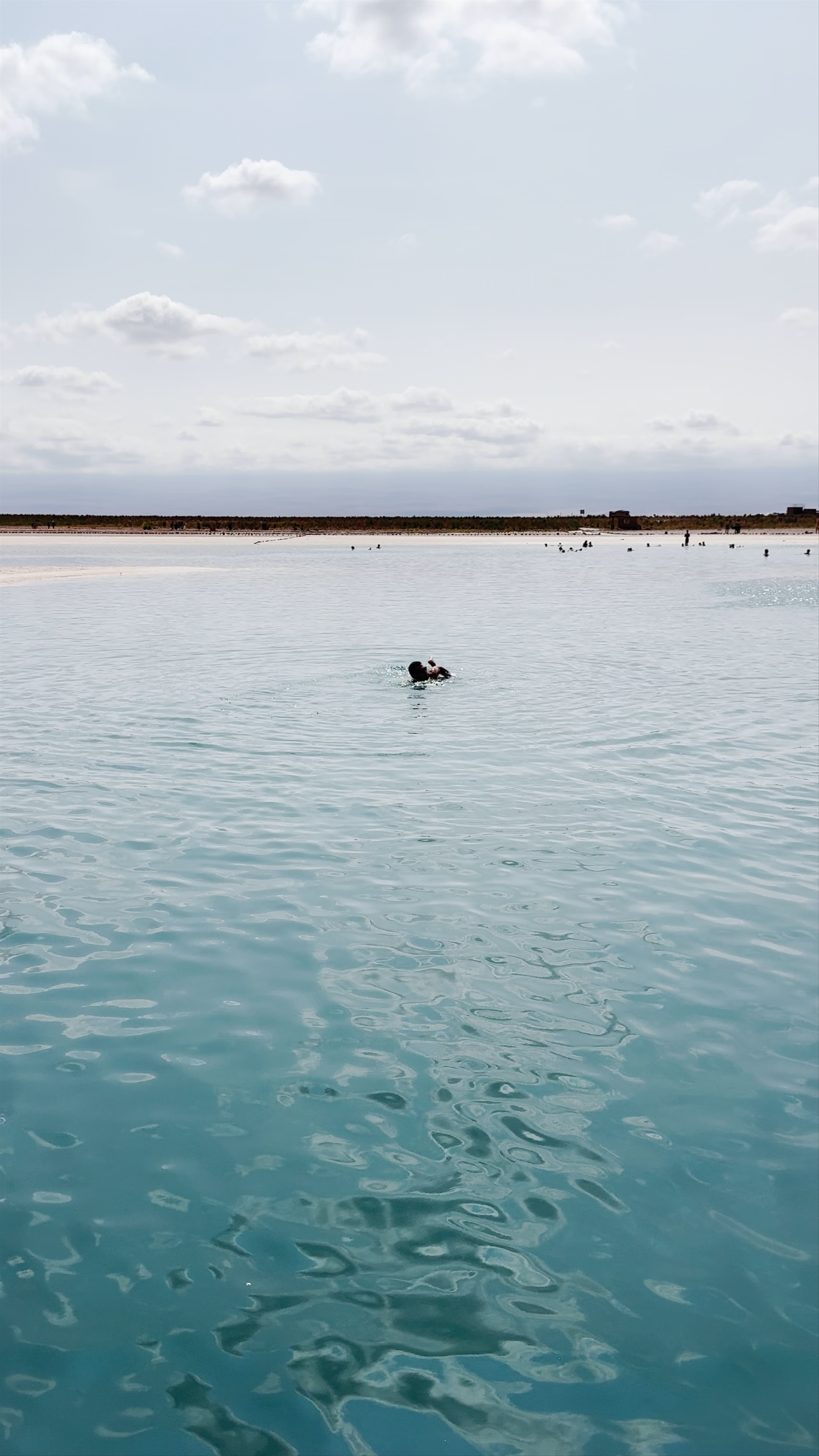 Laguna Cejar: Serene Saltwater Escape in the Atacama Desert
