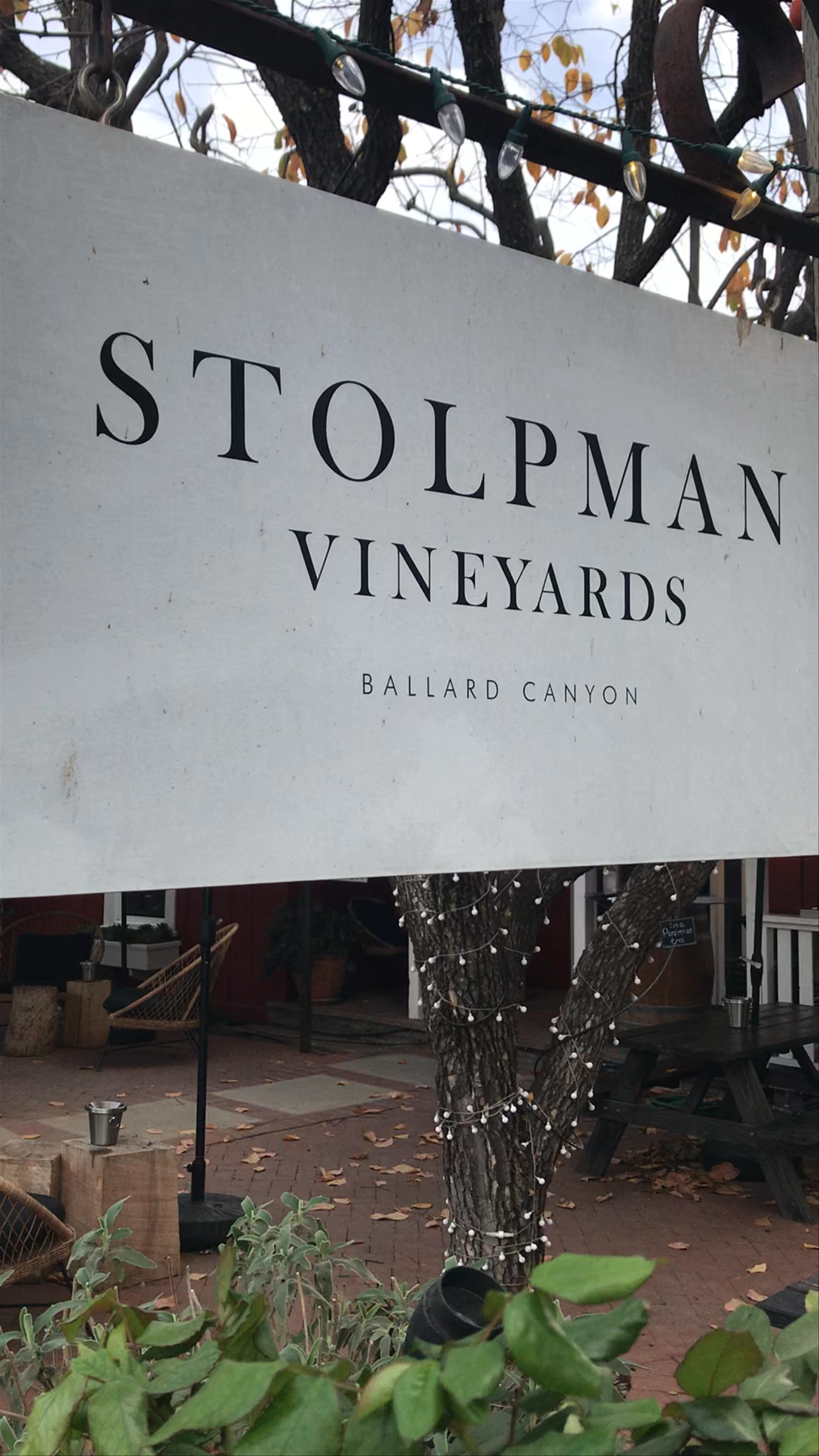 Stolpman Vineyards Tasting Room Experience in Los Olivos, California