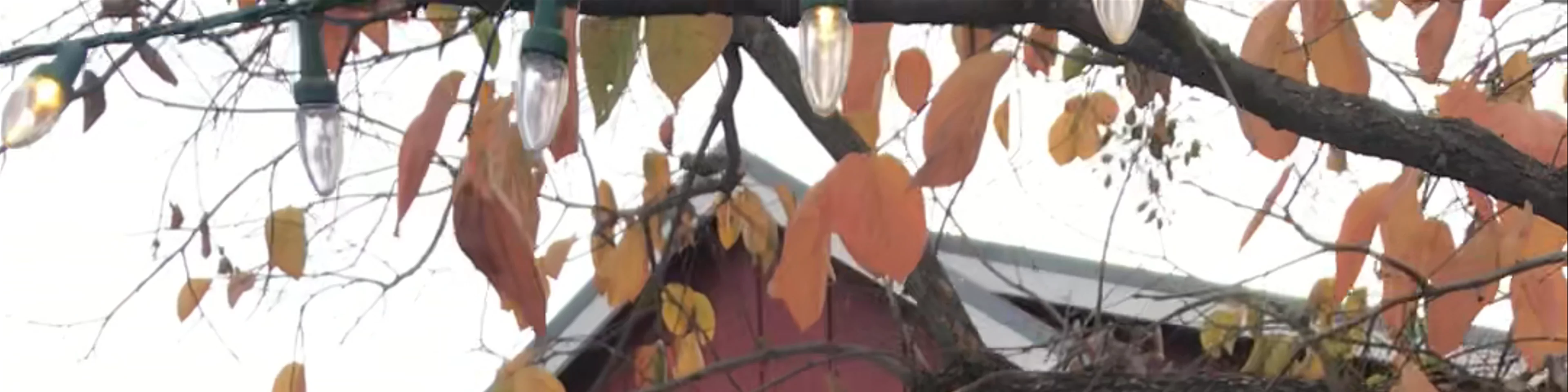 Stolpman Vineyards - Los Olivos Tasting Room