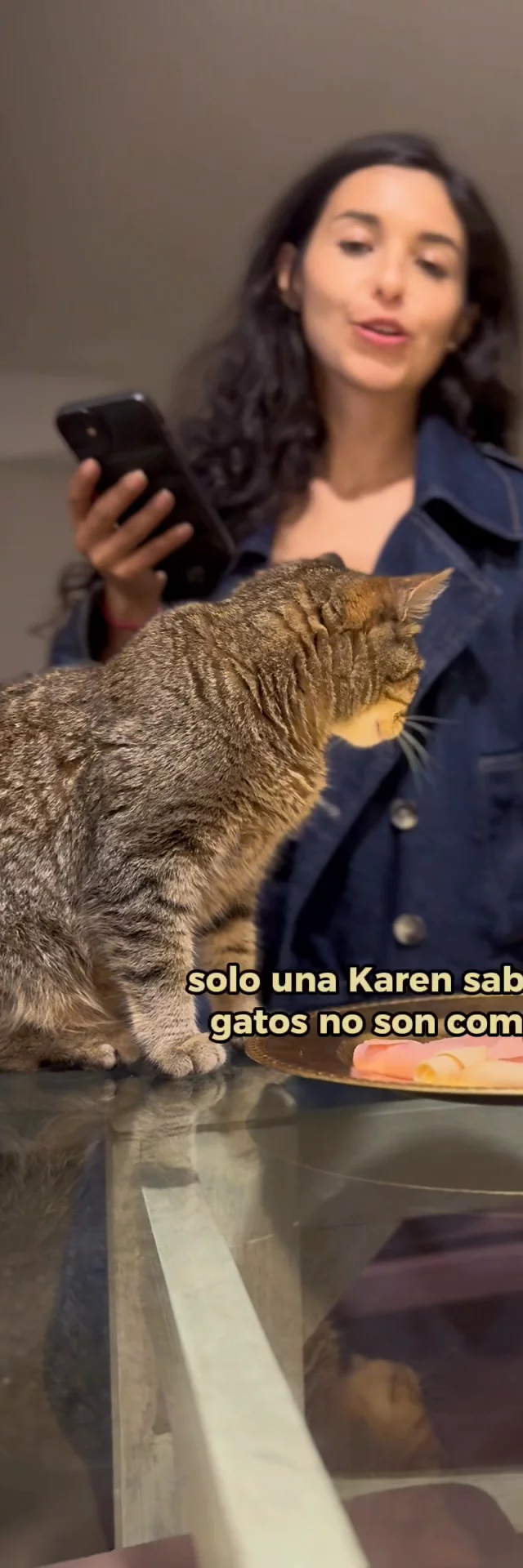 Solo una Karen sabe que los gatos no son quisquillosos