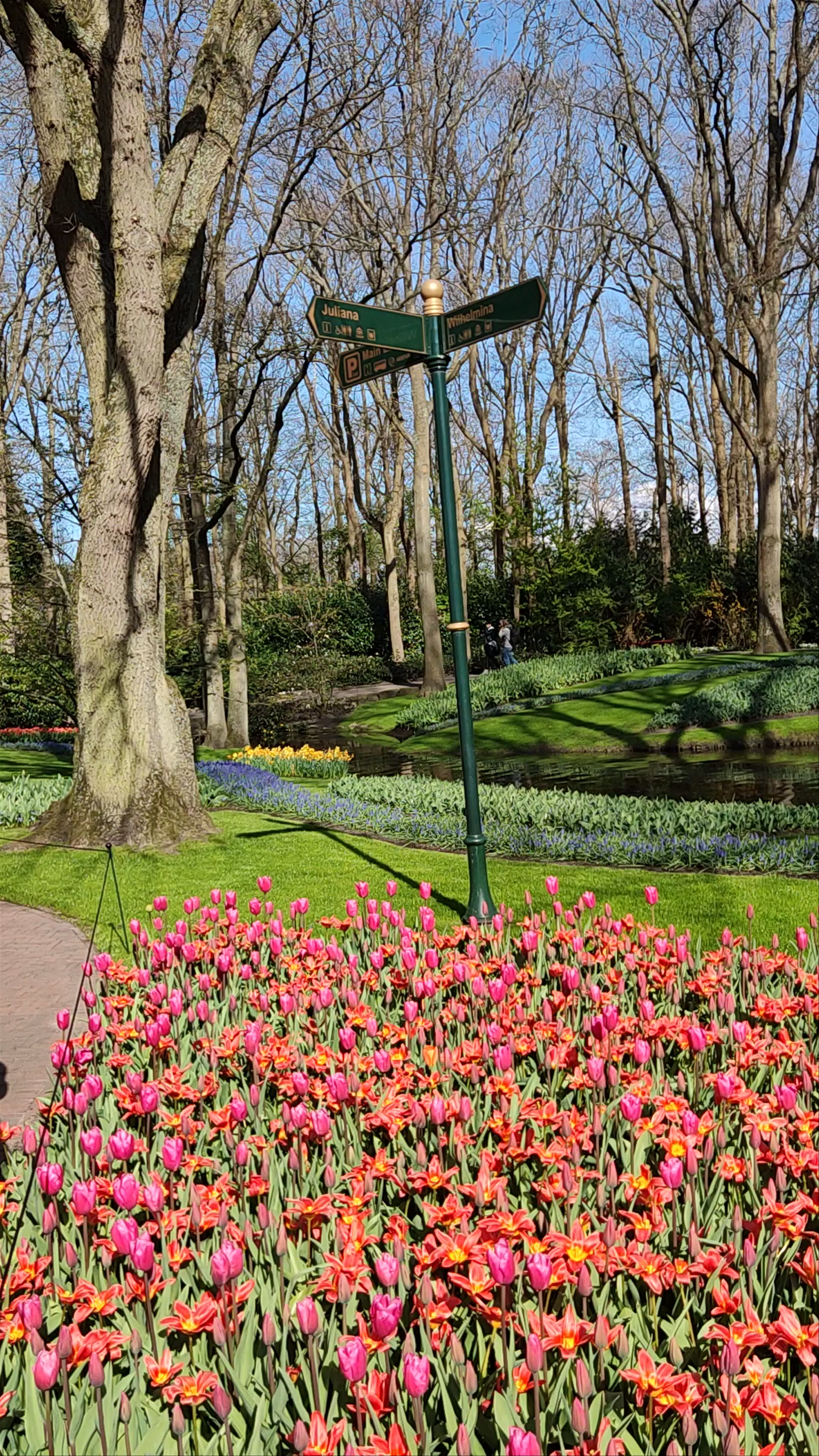Keukenhof kids playground