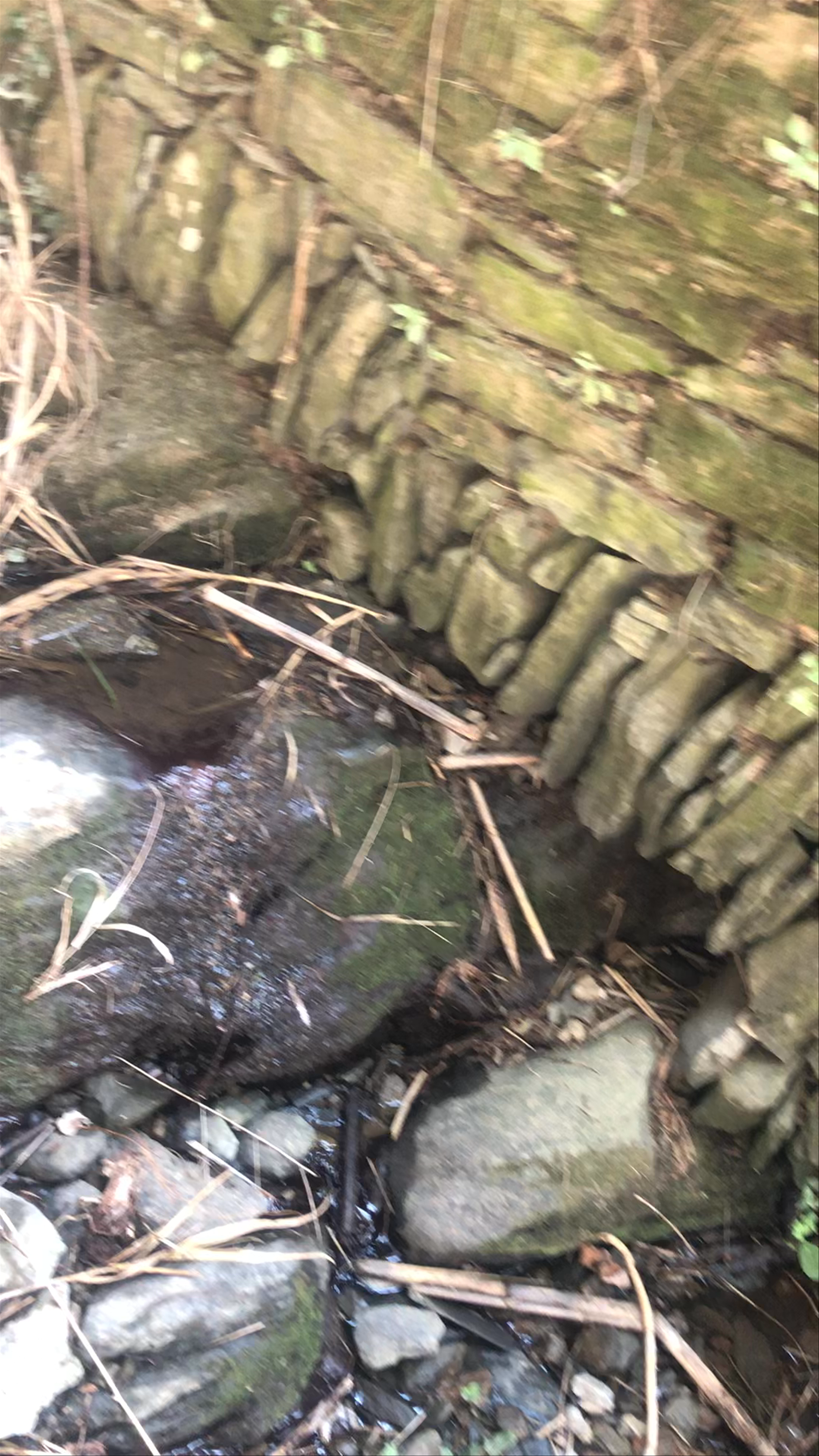 Strada Vicinale Rocca, Monterosso al Mare