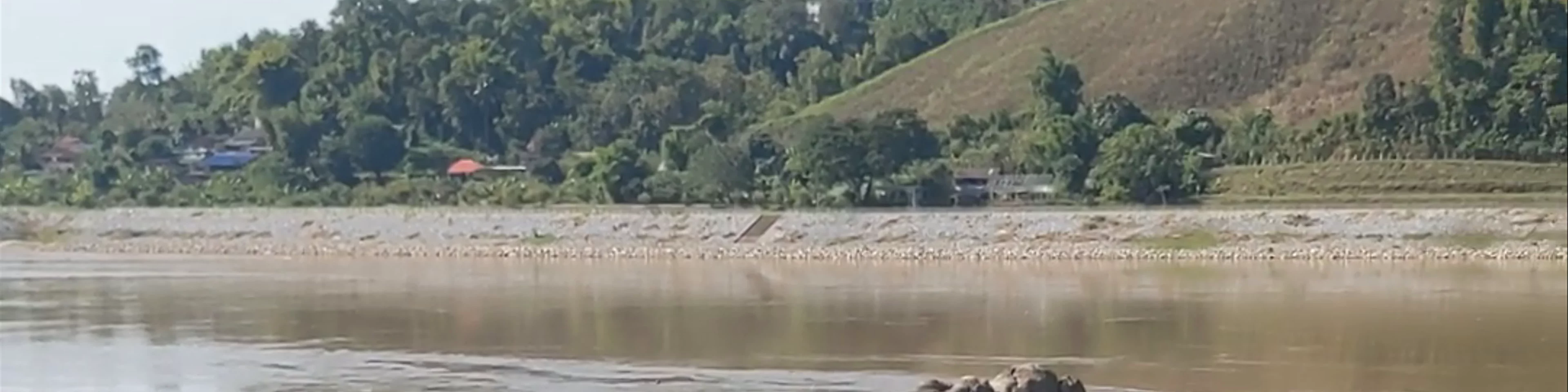 Slow Boat Terminal