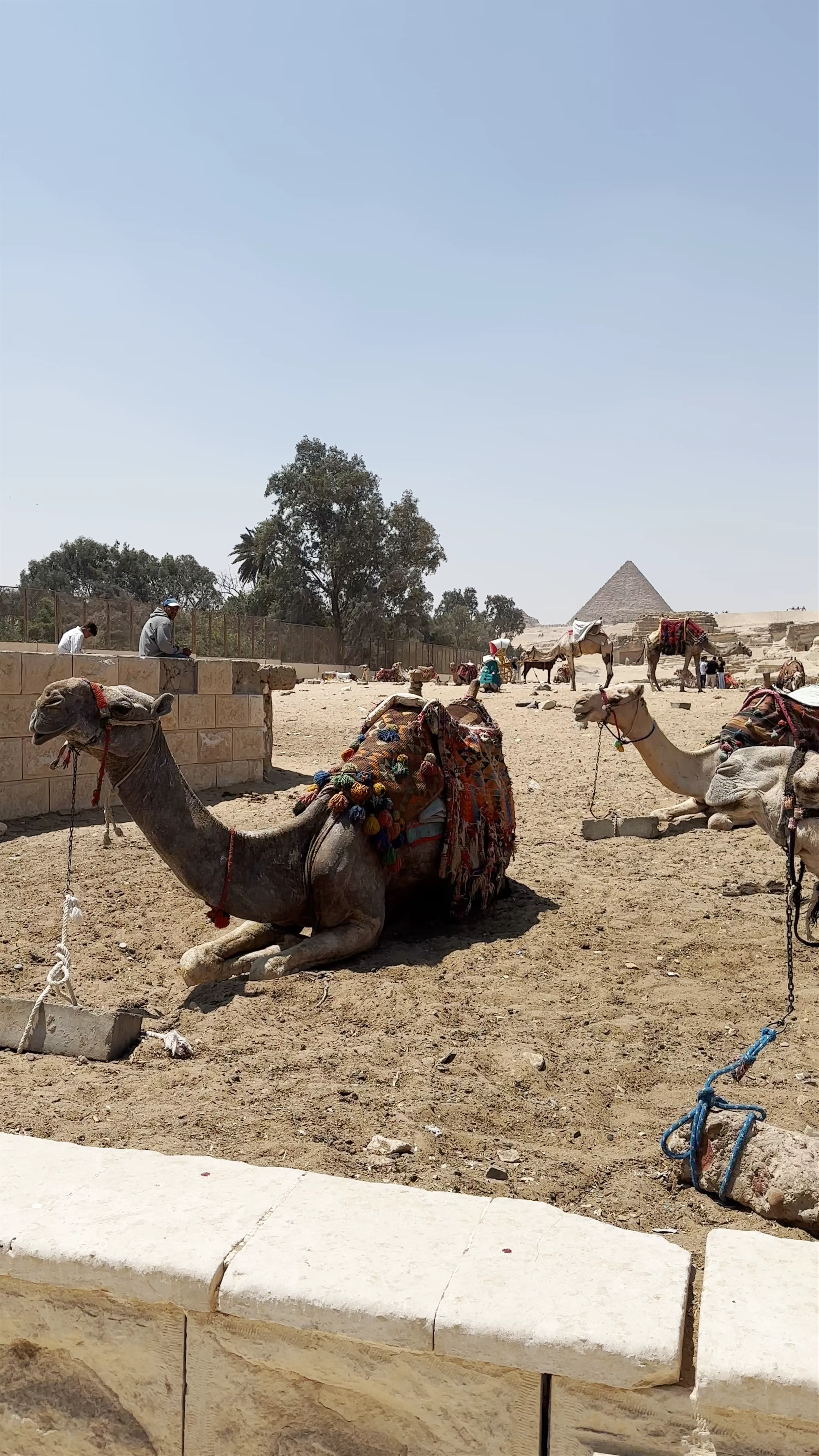 Giza Necropolis