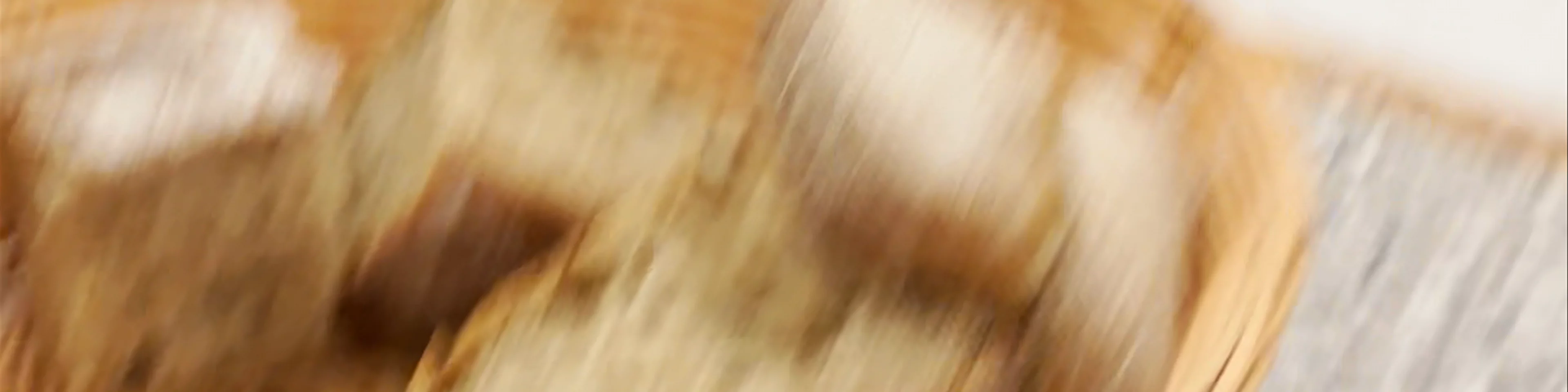 O Fiuza