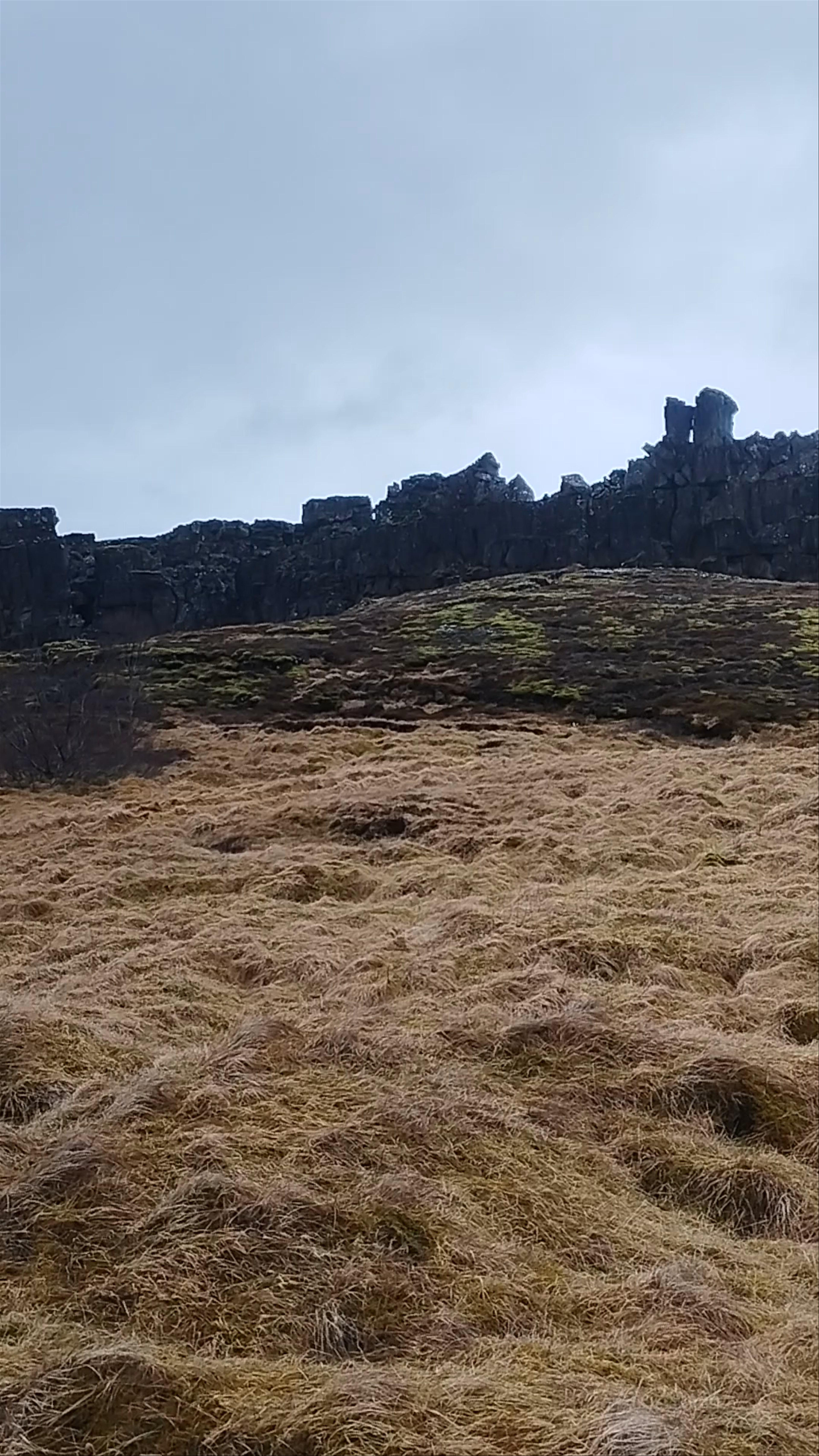 Þingvallakirkja (Þingvellir church)