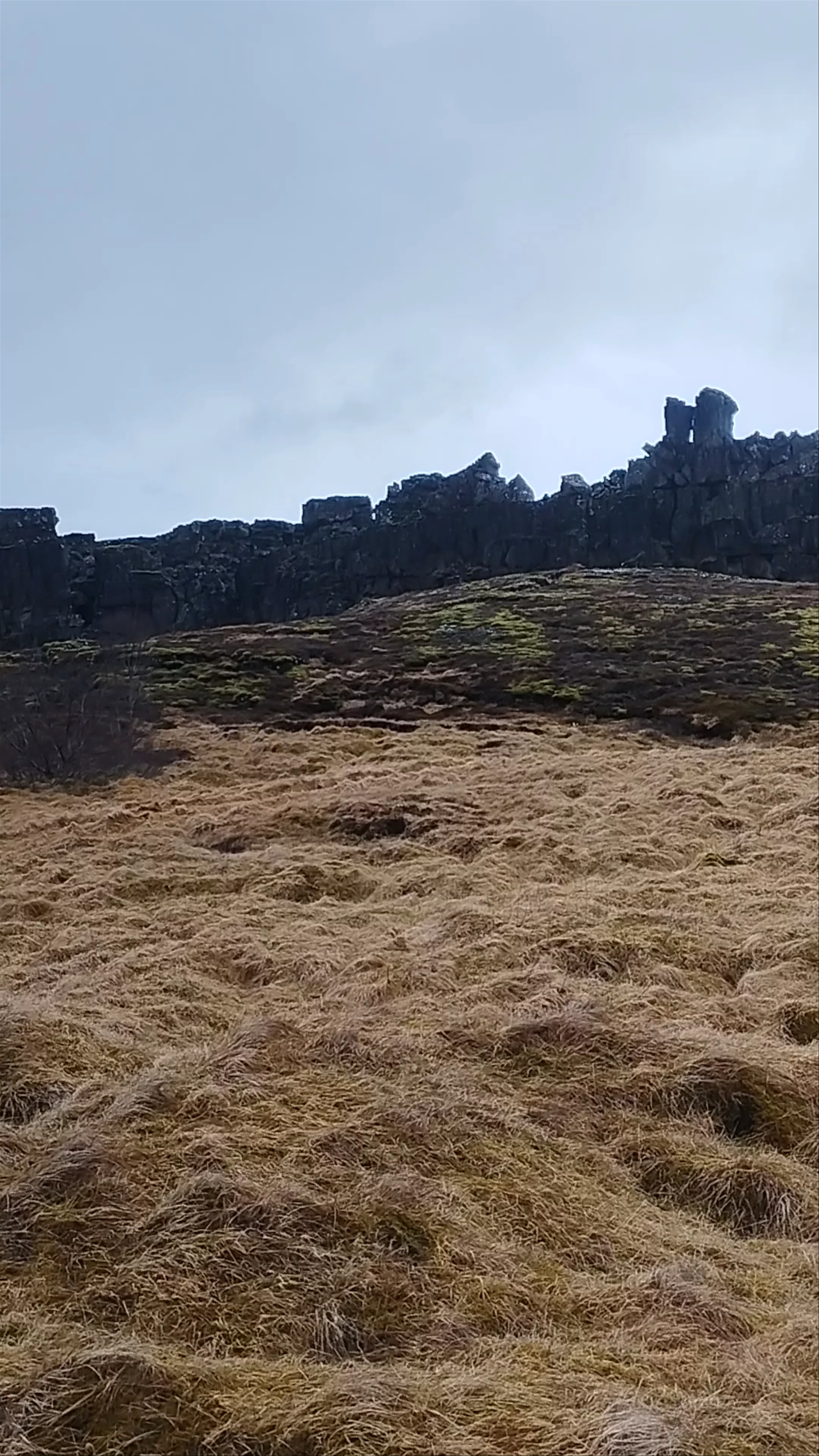 Þingvallakirkja (Þingvellir Church)