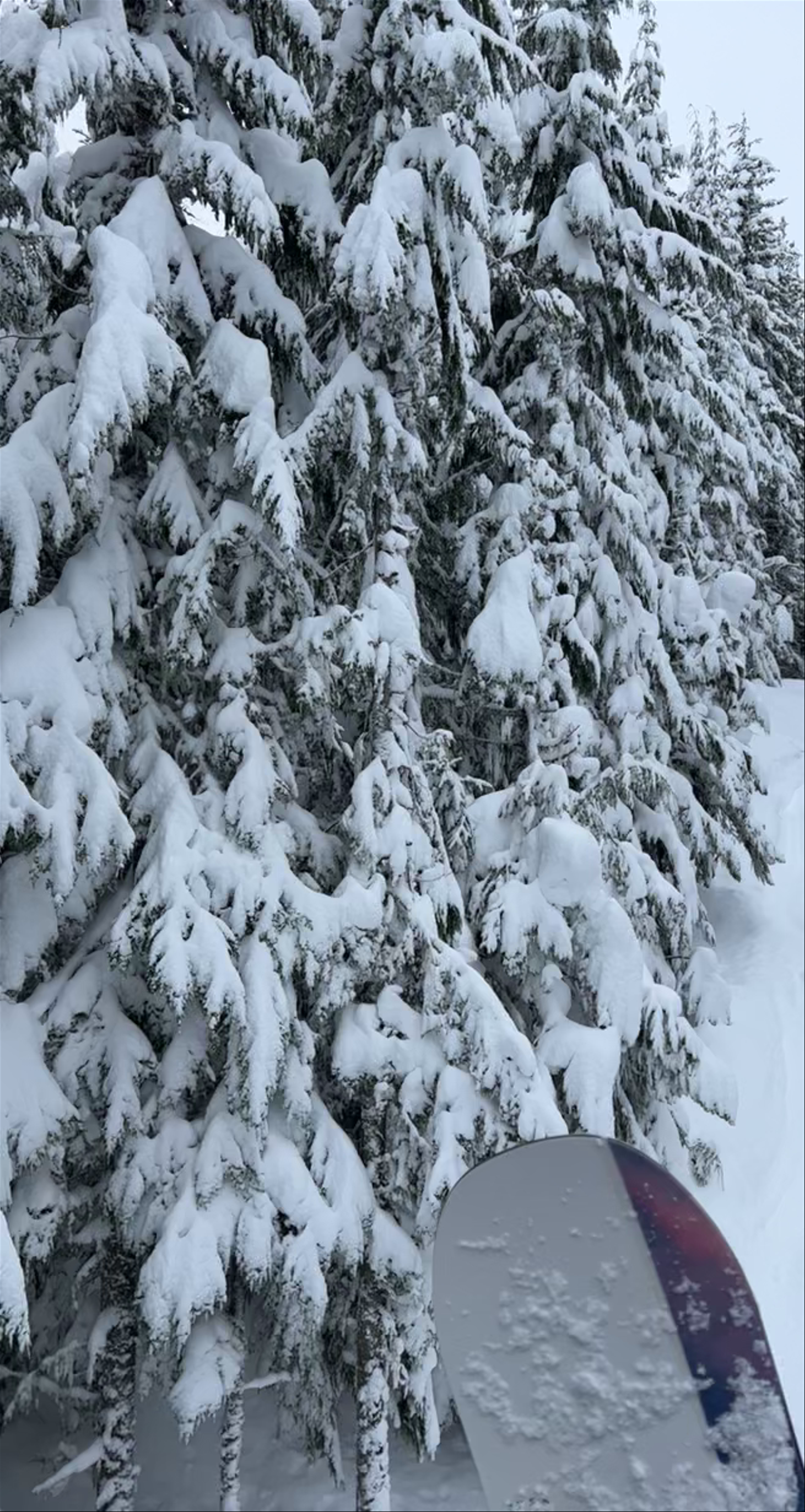 Snowy Adventure on Whistler Mountain: Chairlift Ride Through Winter Wonderland