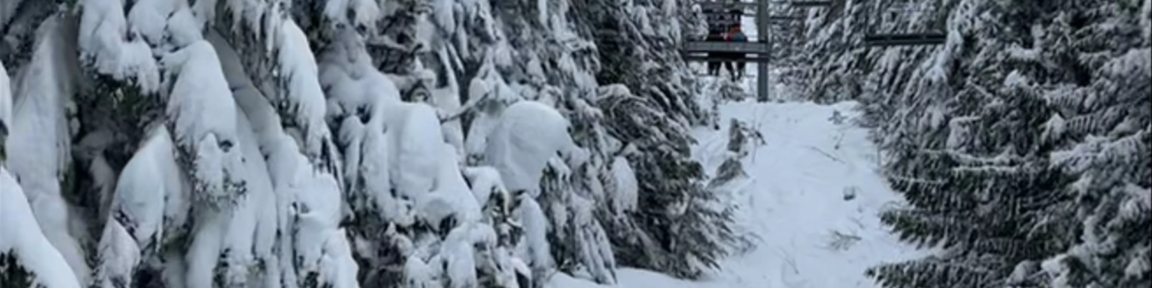 Whistler Mountain