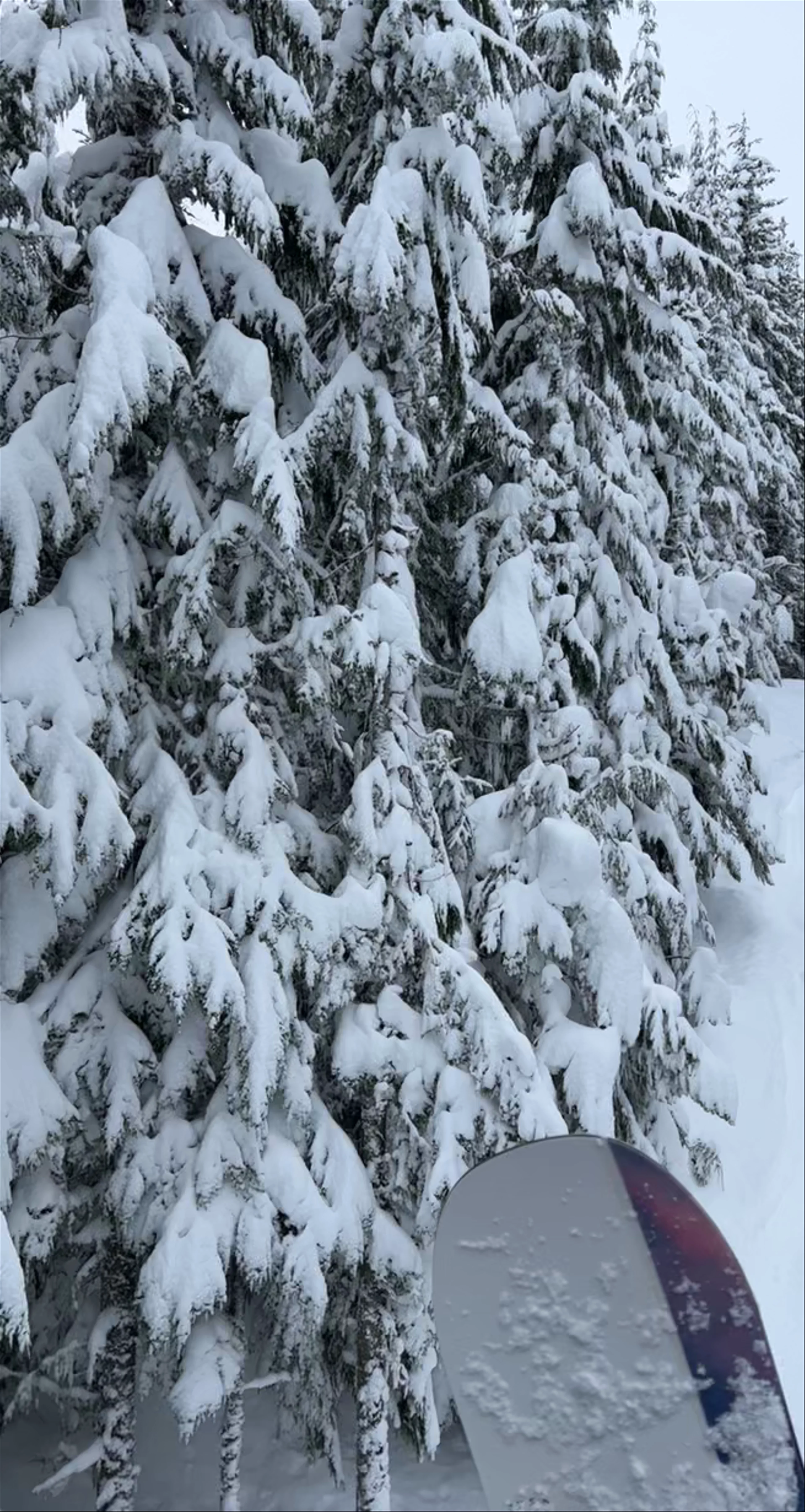 Whistler Mountain