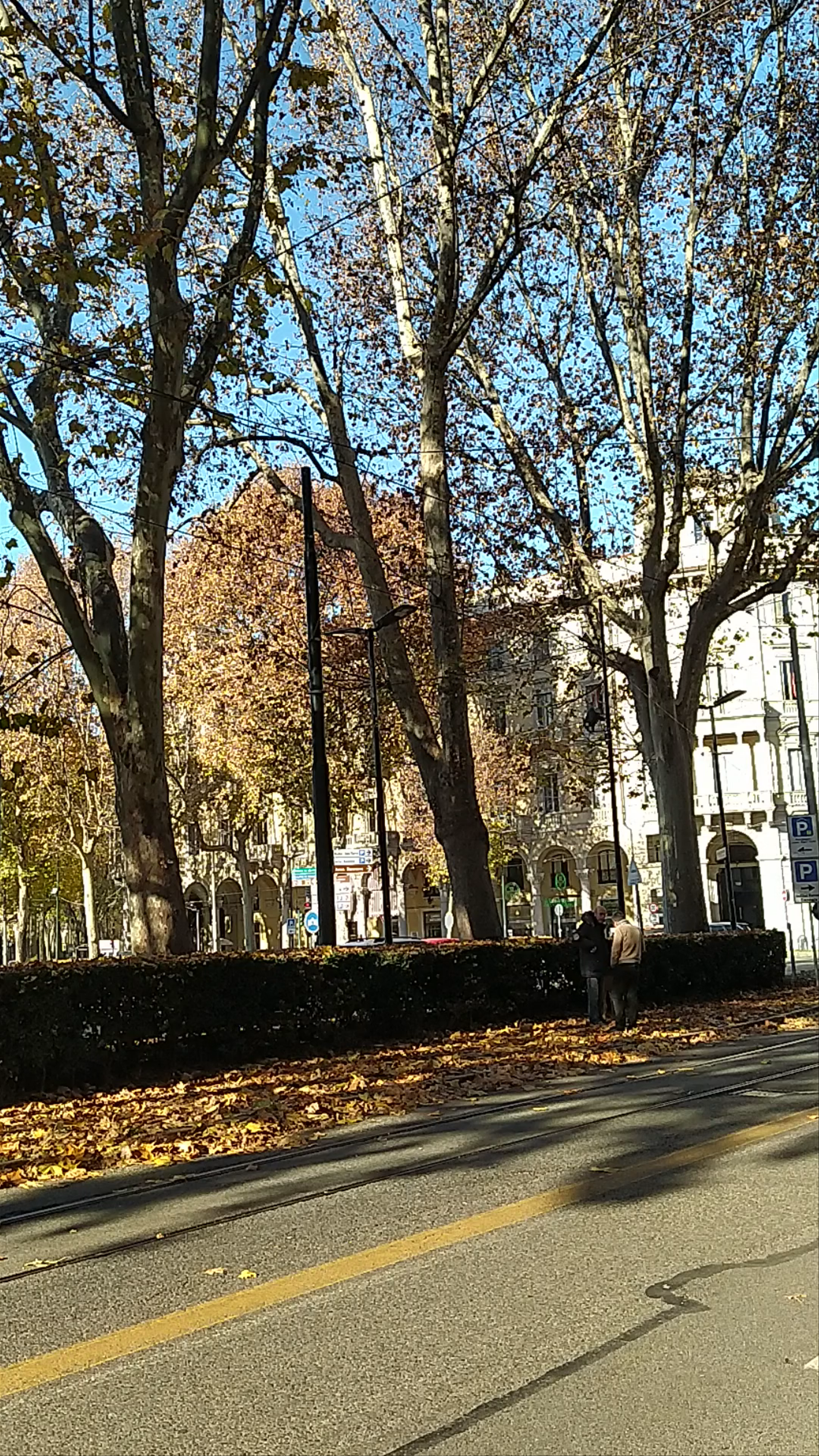 Monument to Vittorio Emanuele II in Turin: Autumn Elegance in Piemonte