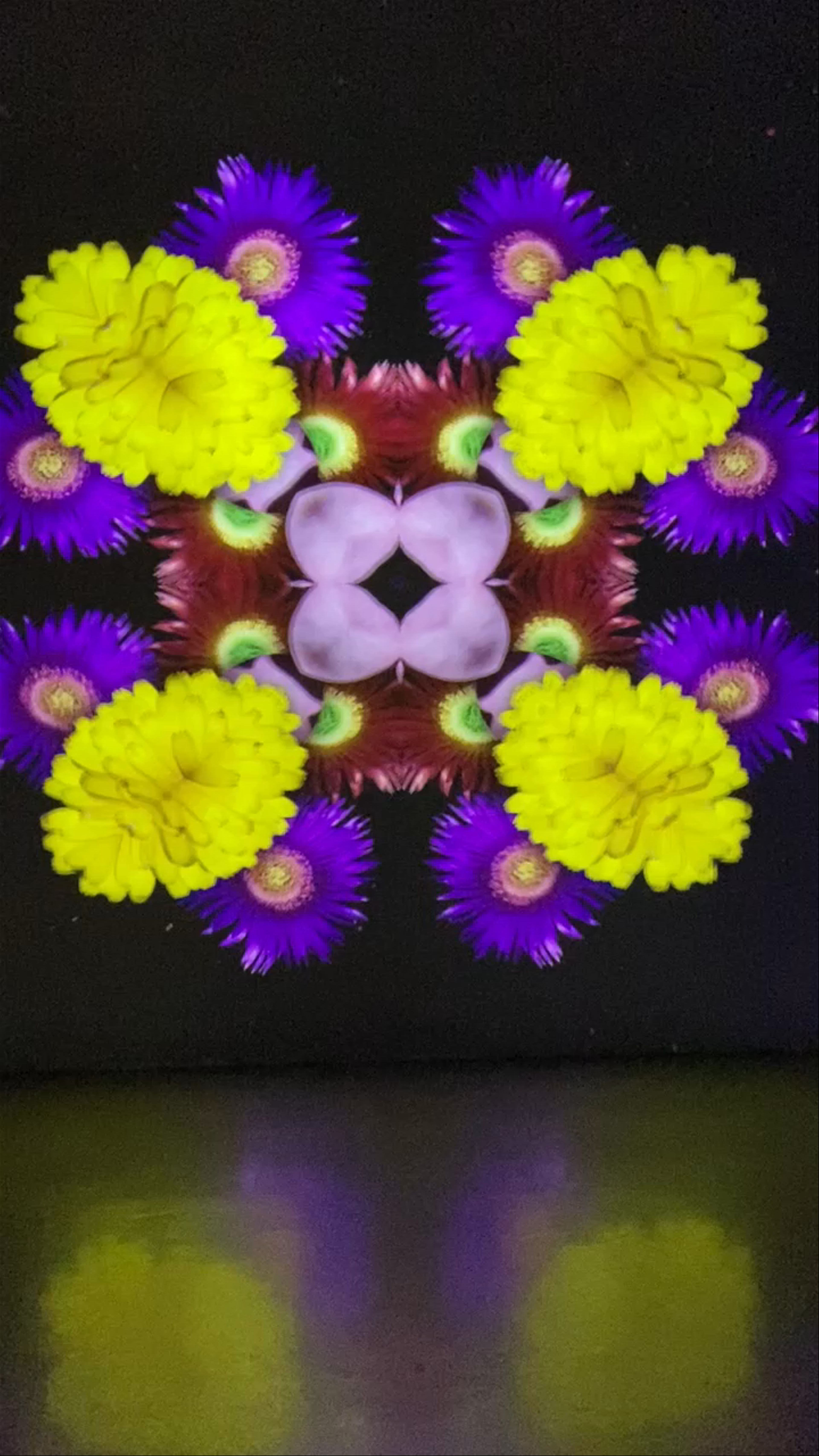 Museum of Dream Space Beverly Hills