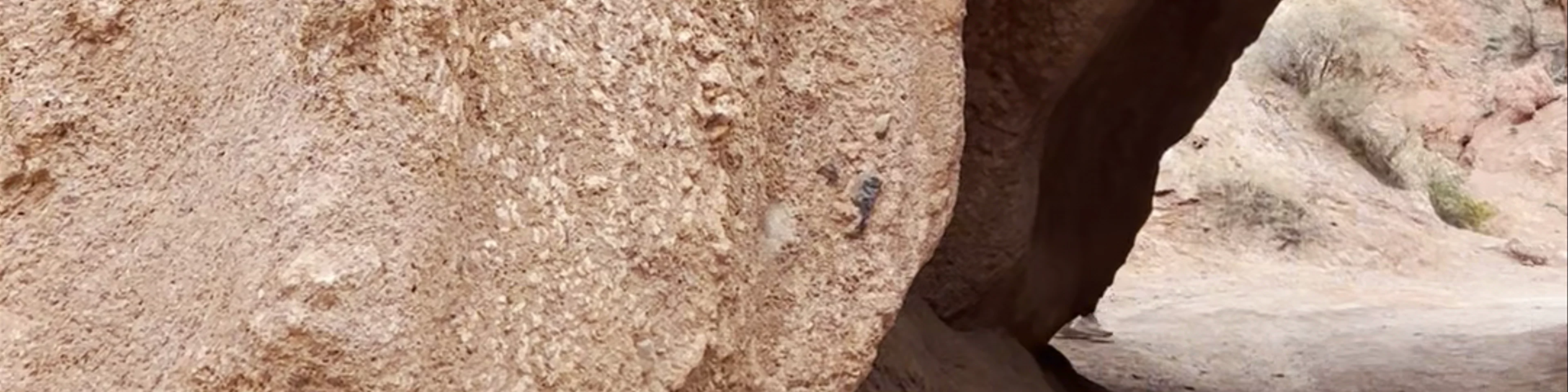 Charyn Canyon National Park