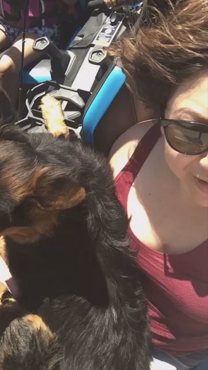 Oak Glen Kennels - Our beautiful Bella - Pet Breeders Near Me