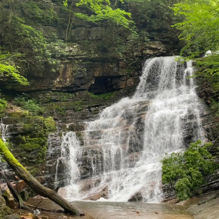 Margarette Falls Trail - Hiking Near Me - Greeneville, Tennessee