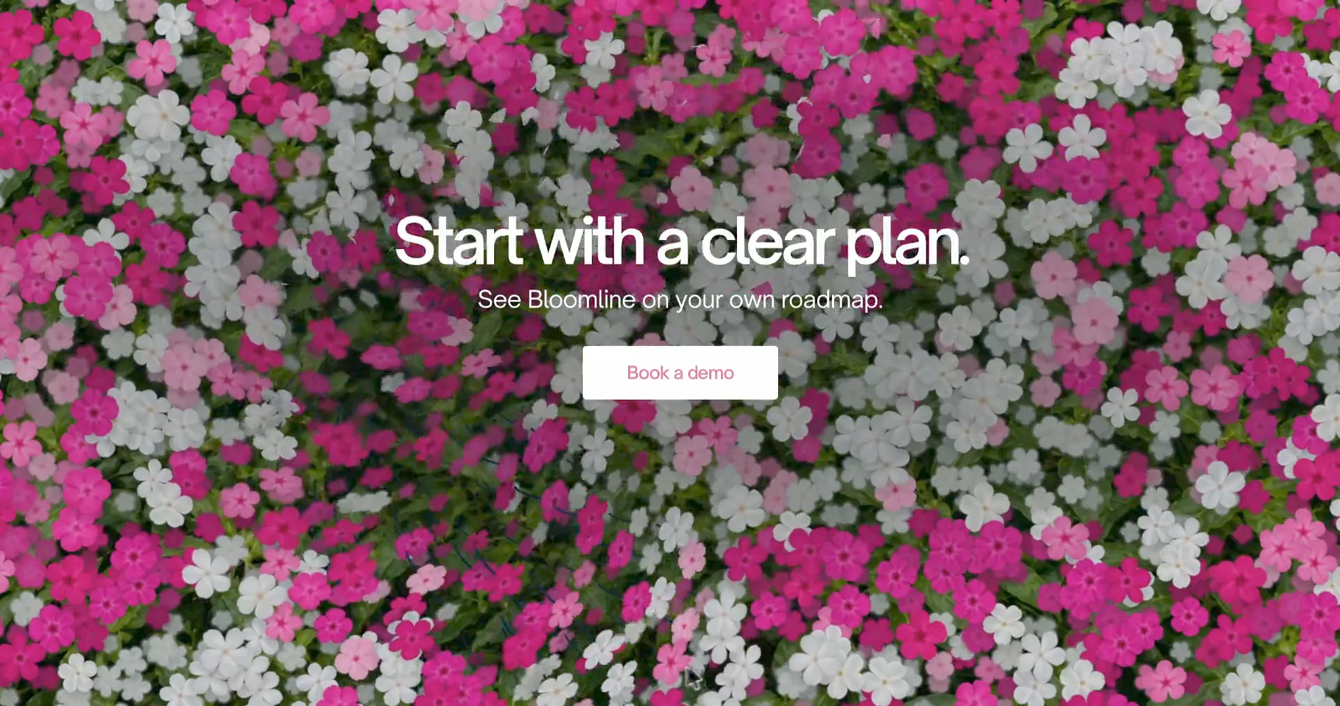 Interactive flowers