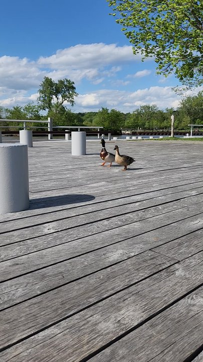 Long Dock Park - Parks Near Me - Beacon, New York