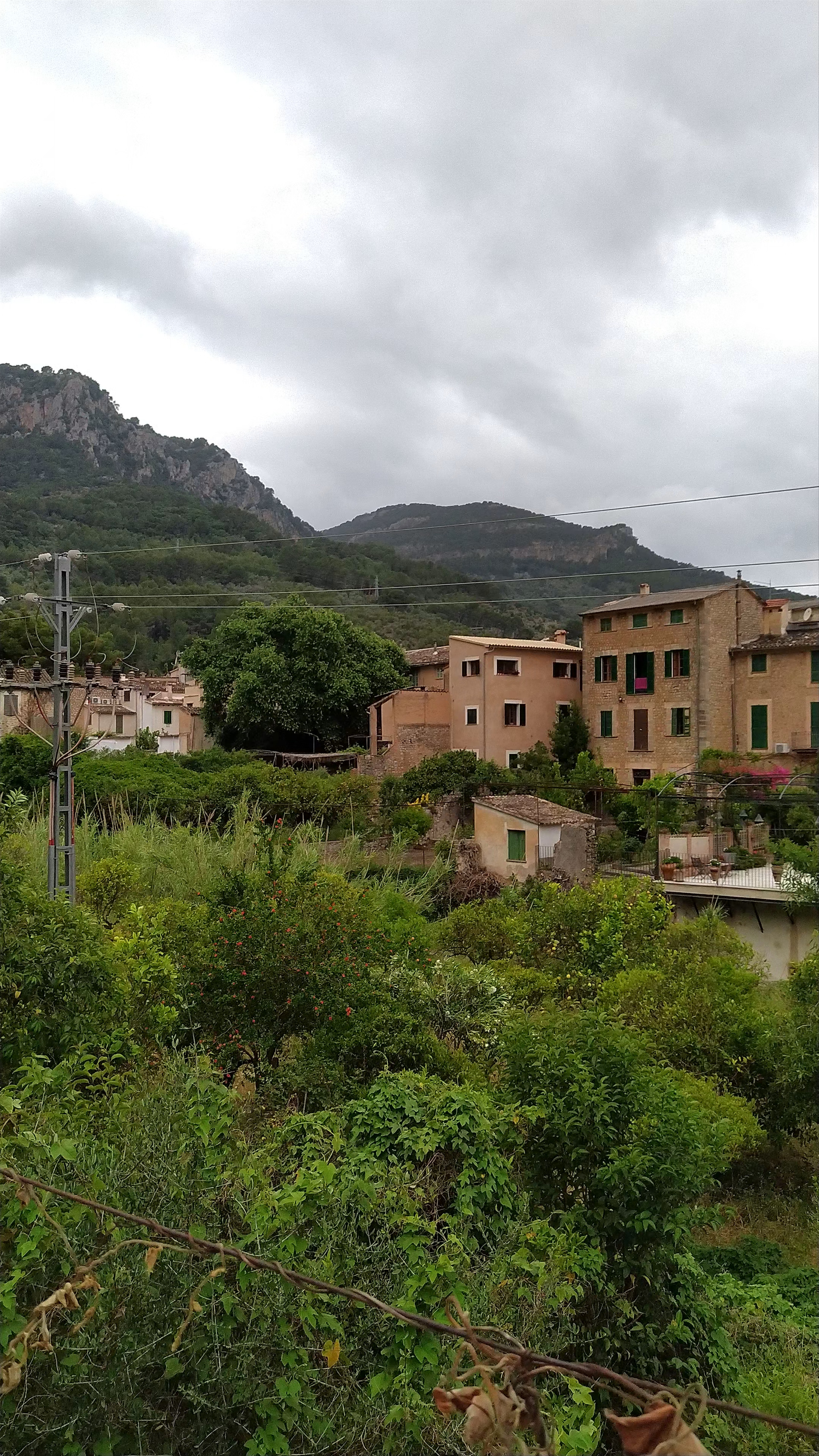 Sóller Center