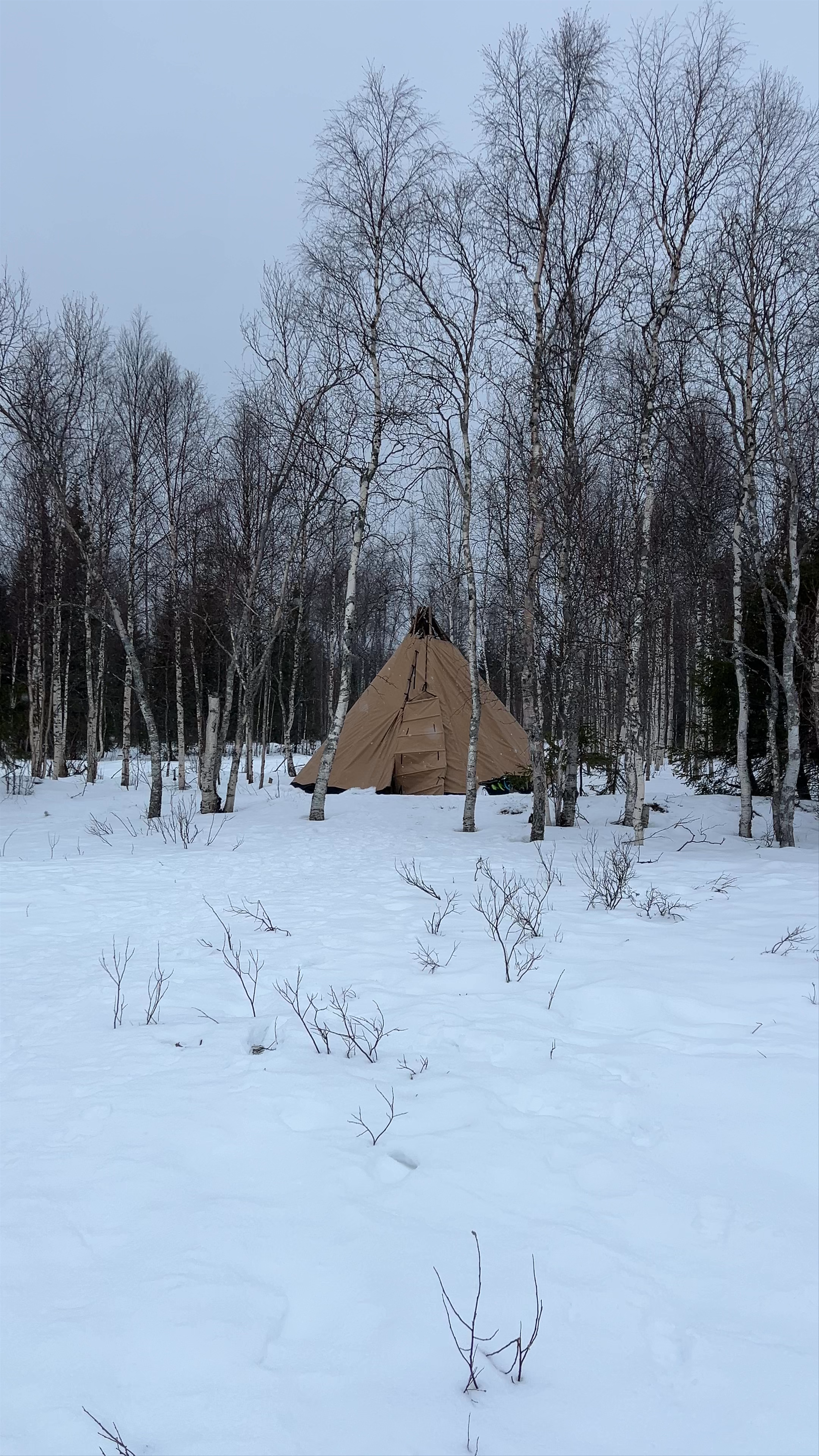 Visit Lapland Tours