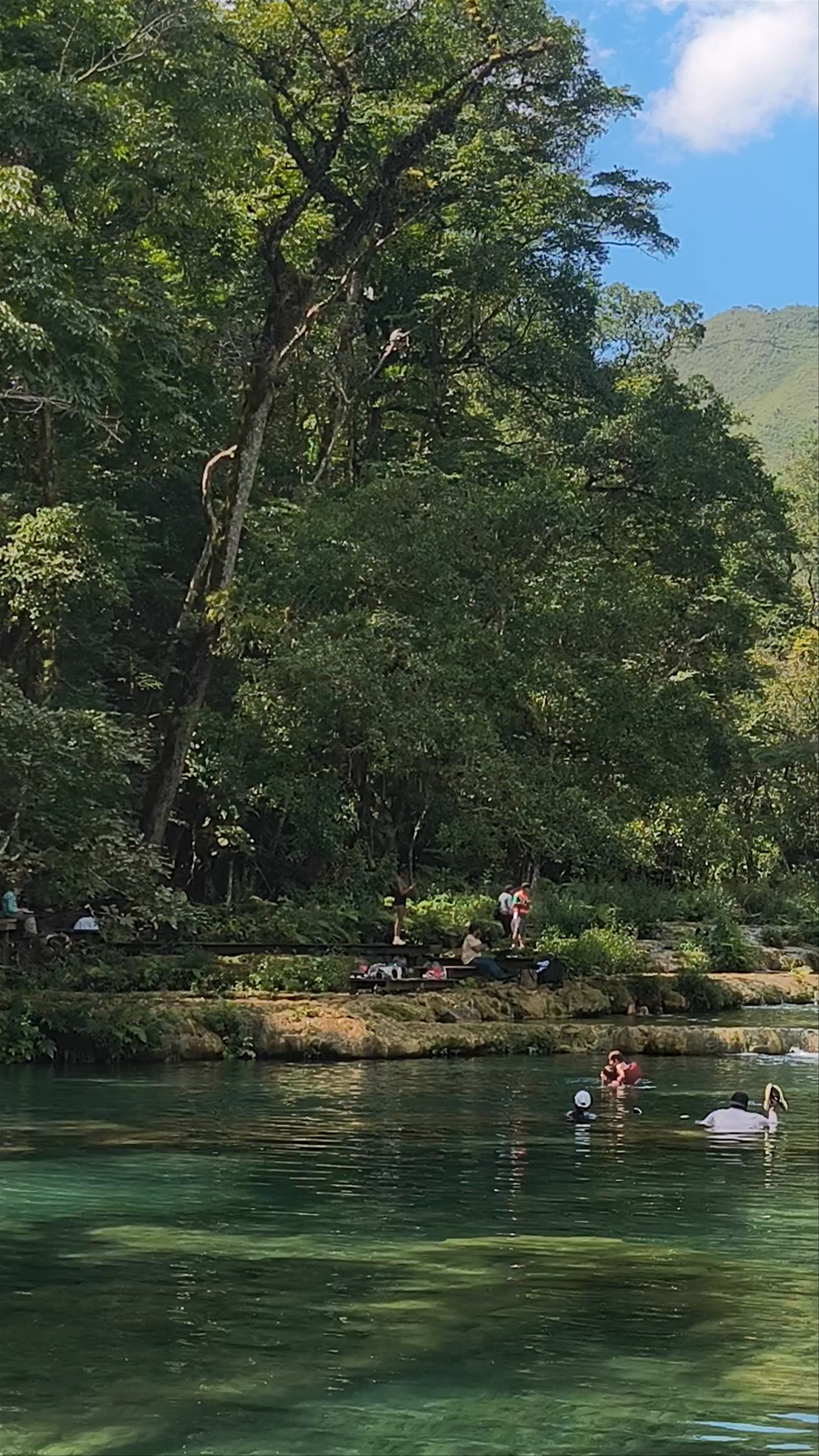 Pozas Naturales de Semuc Champey