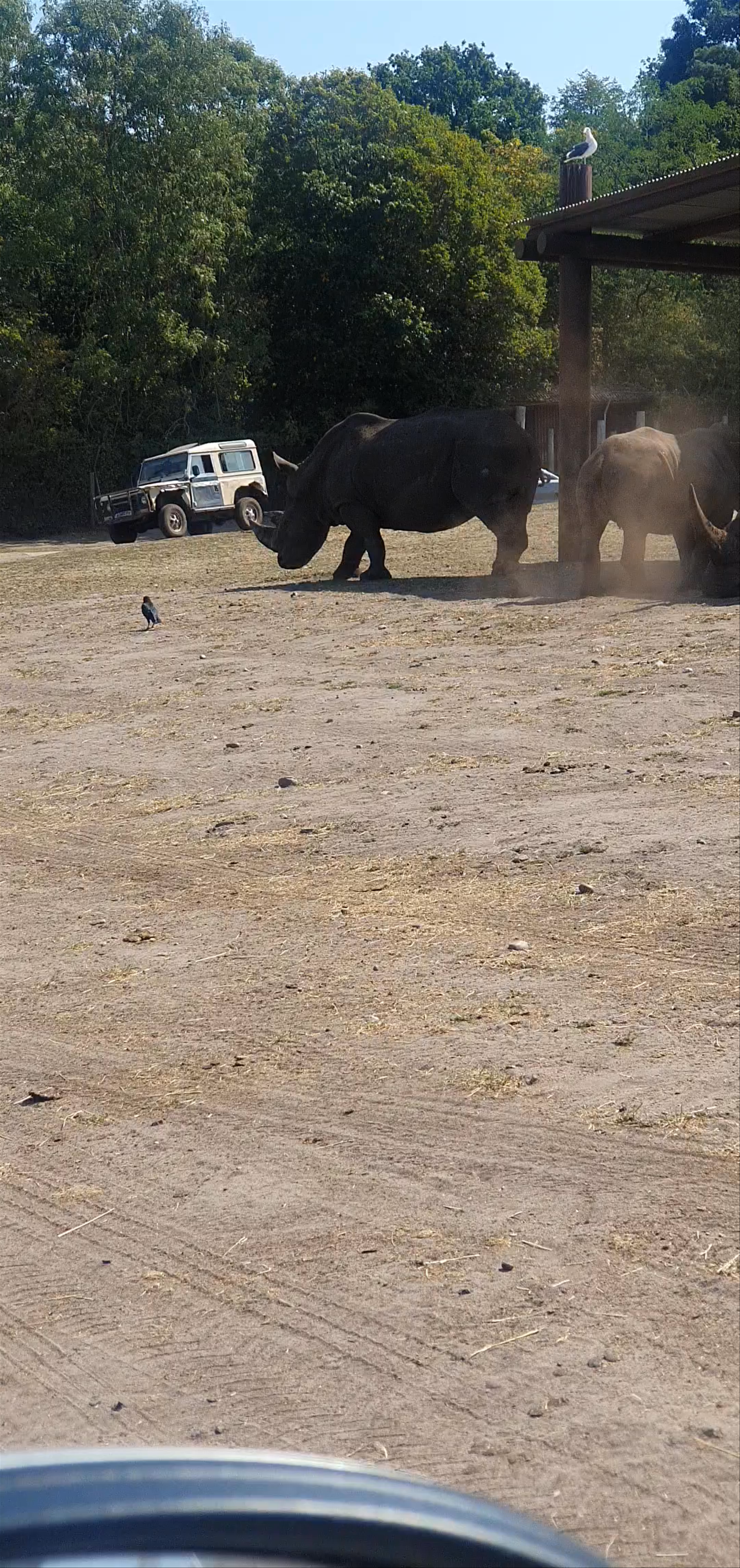 West Midland Safari Park