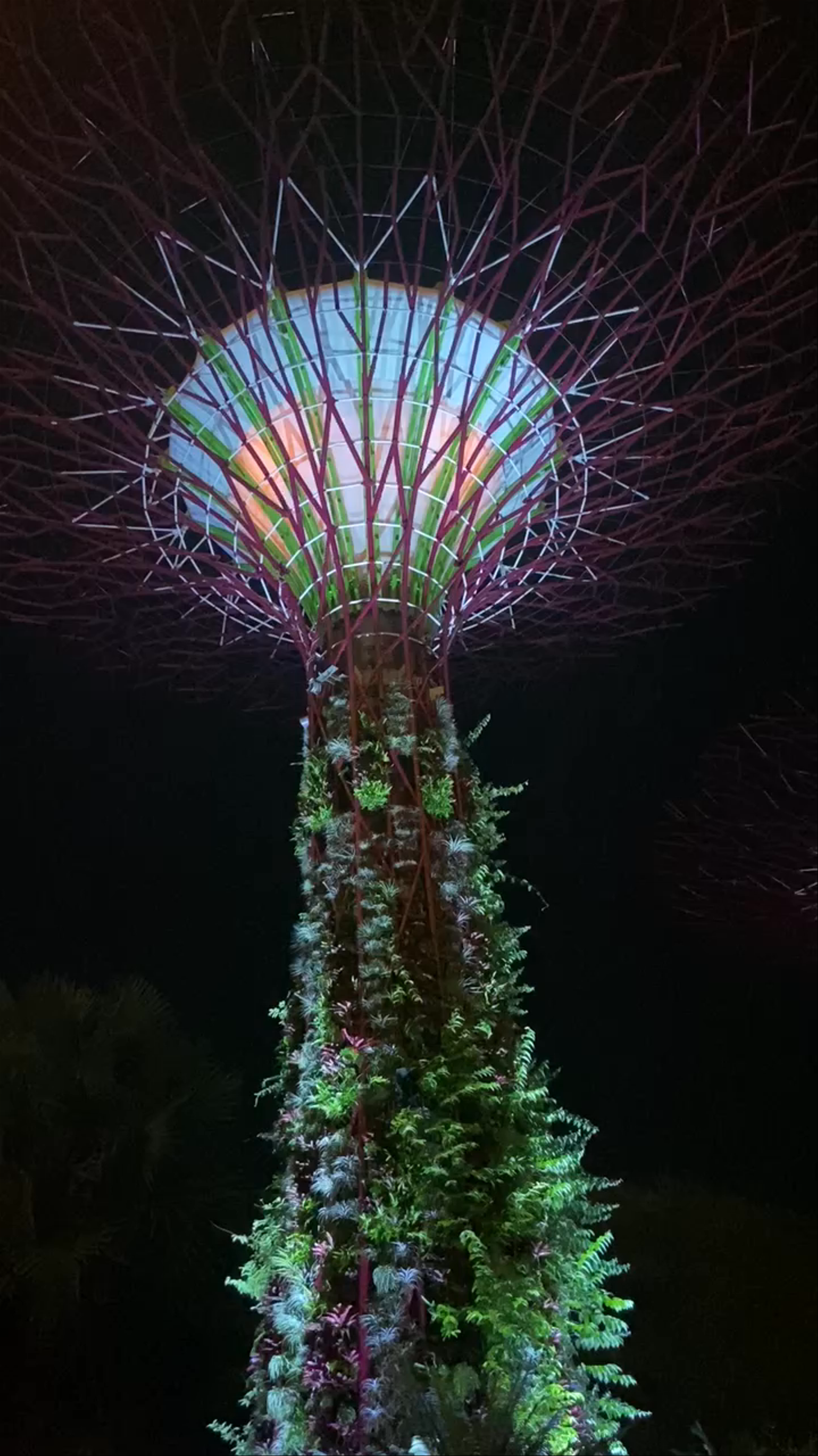 Gardens By The Bay