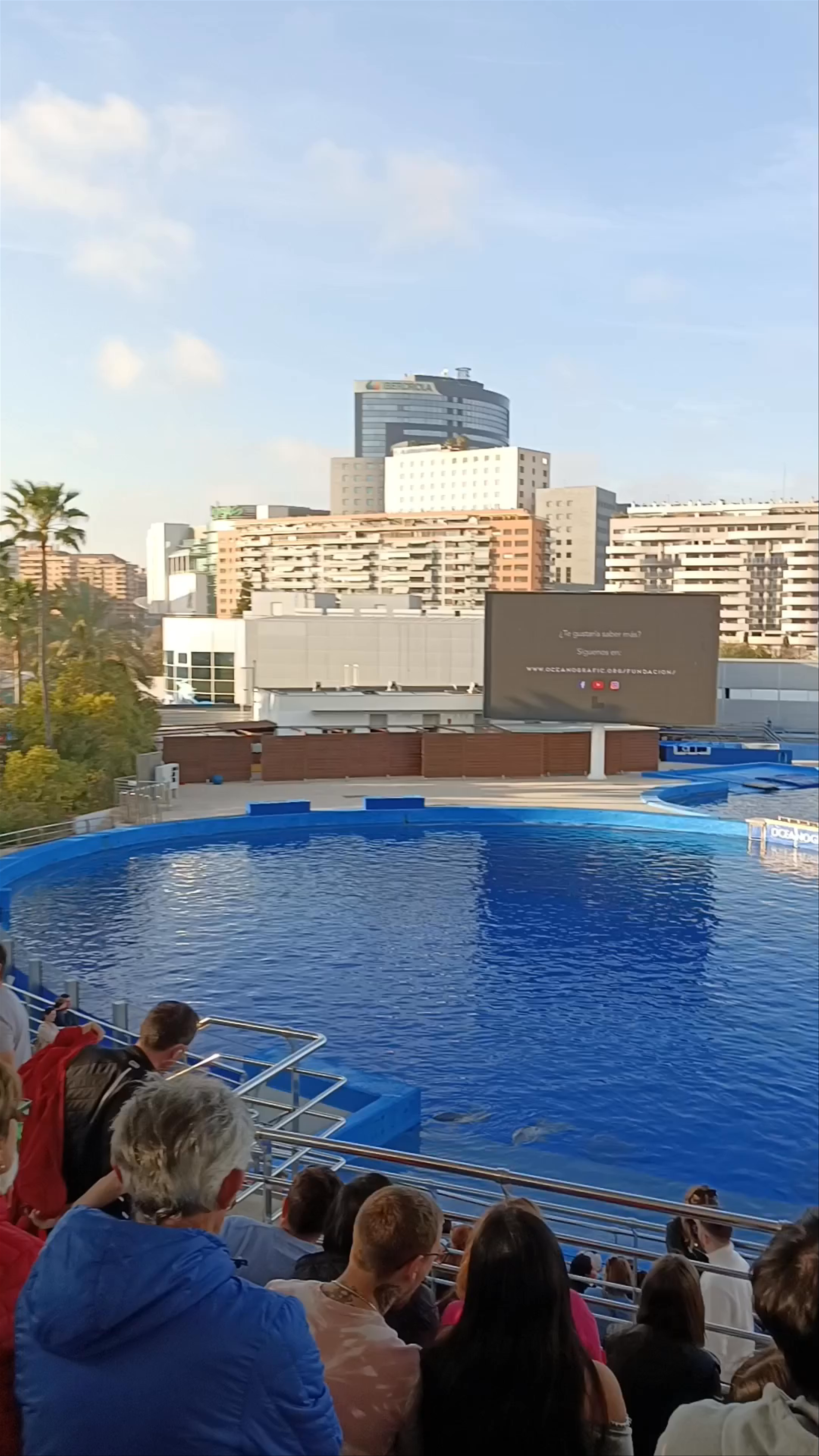 Oceanogràfic Valencia: Magical Marine Show Experience