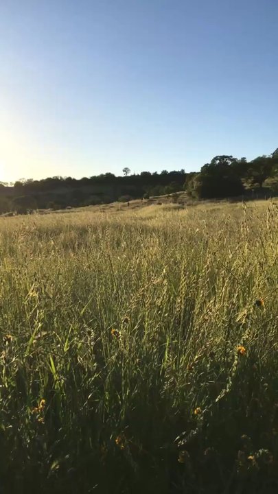 Bidwell Park - Parks Near Me - Chico, California