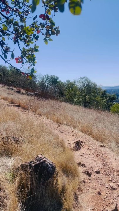 Sonoma Overlook Trail - View from the top. - Hiking Near Me - Sonoma, California