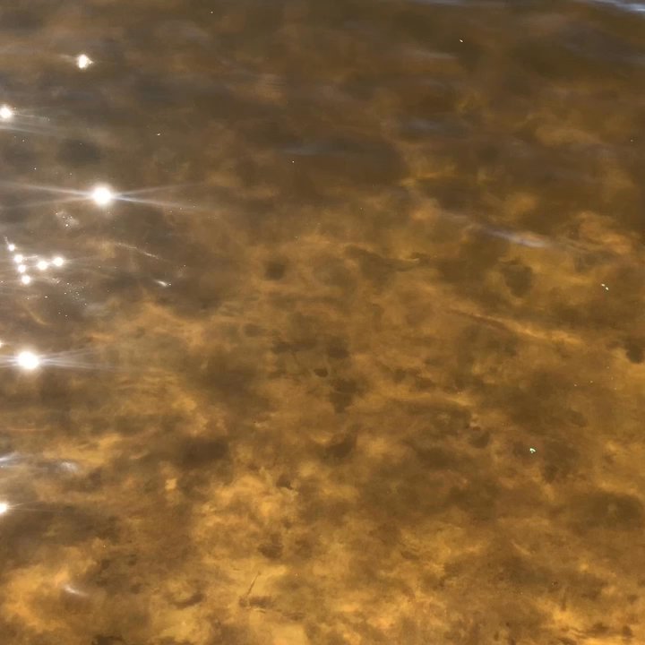 Cauble Park at Acworth Beach - Parks Near Me - Acworth, Georgia